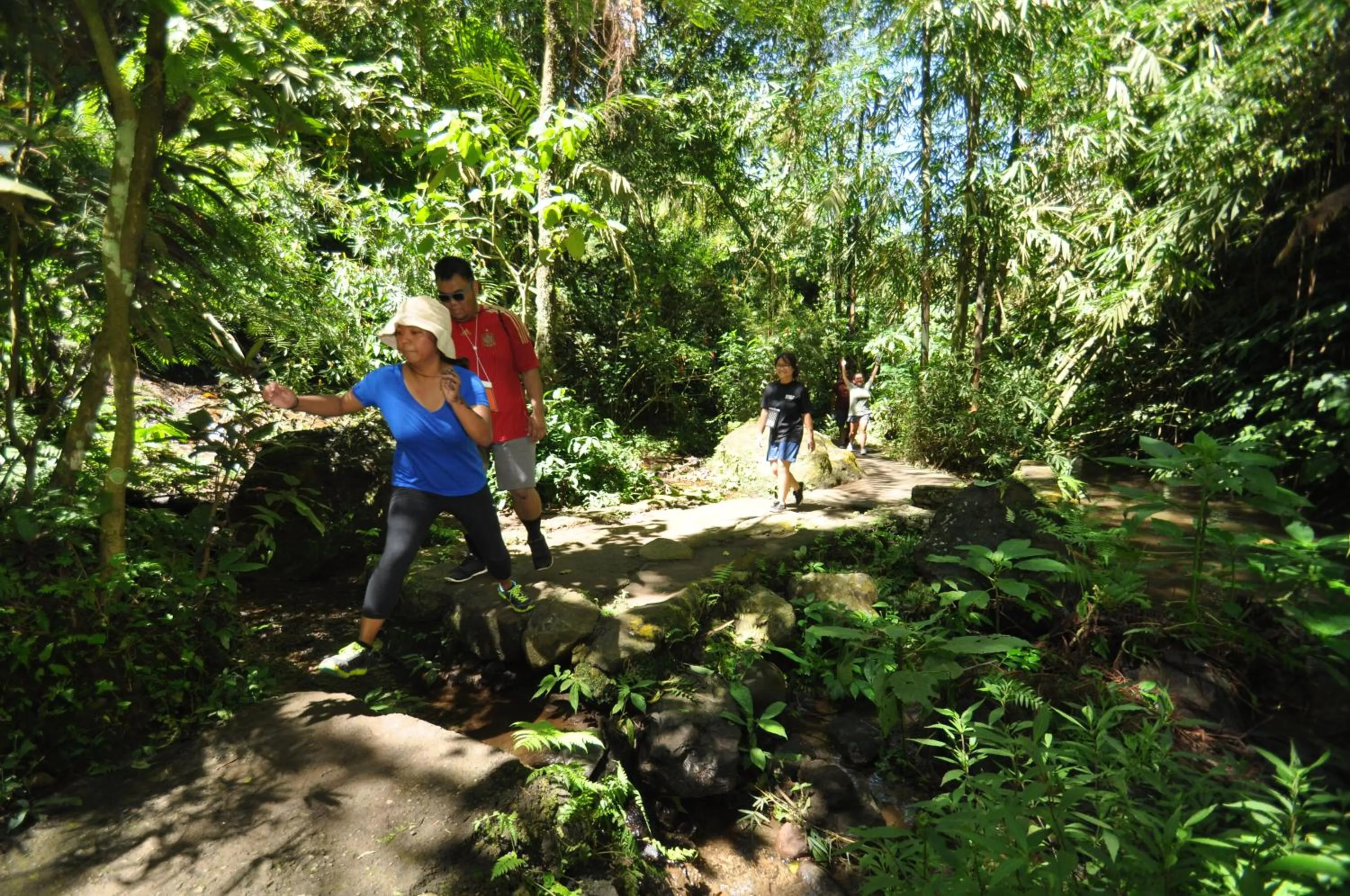 Activities in Puri Lumbung Cottages Restaurant & Spa Munduk