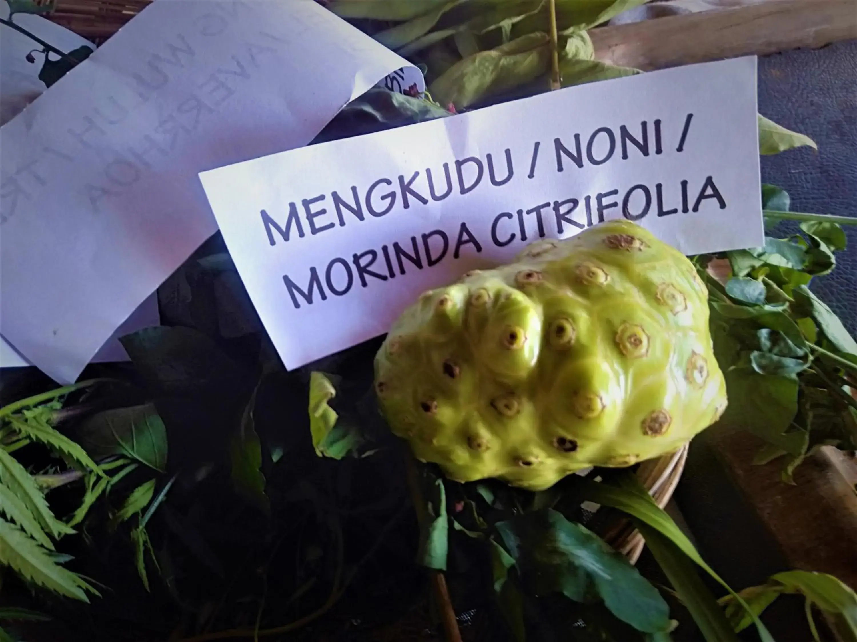 Activities in Puri Lumbung Cottages Restaurant & Spa Munduk Activities in Puri Lumbung Cottages Restaurant & Spa Munduk