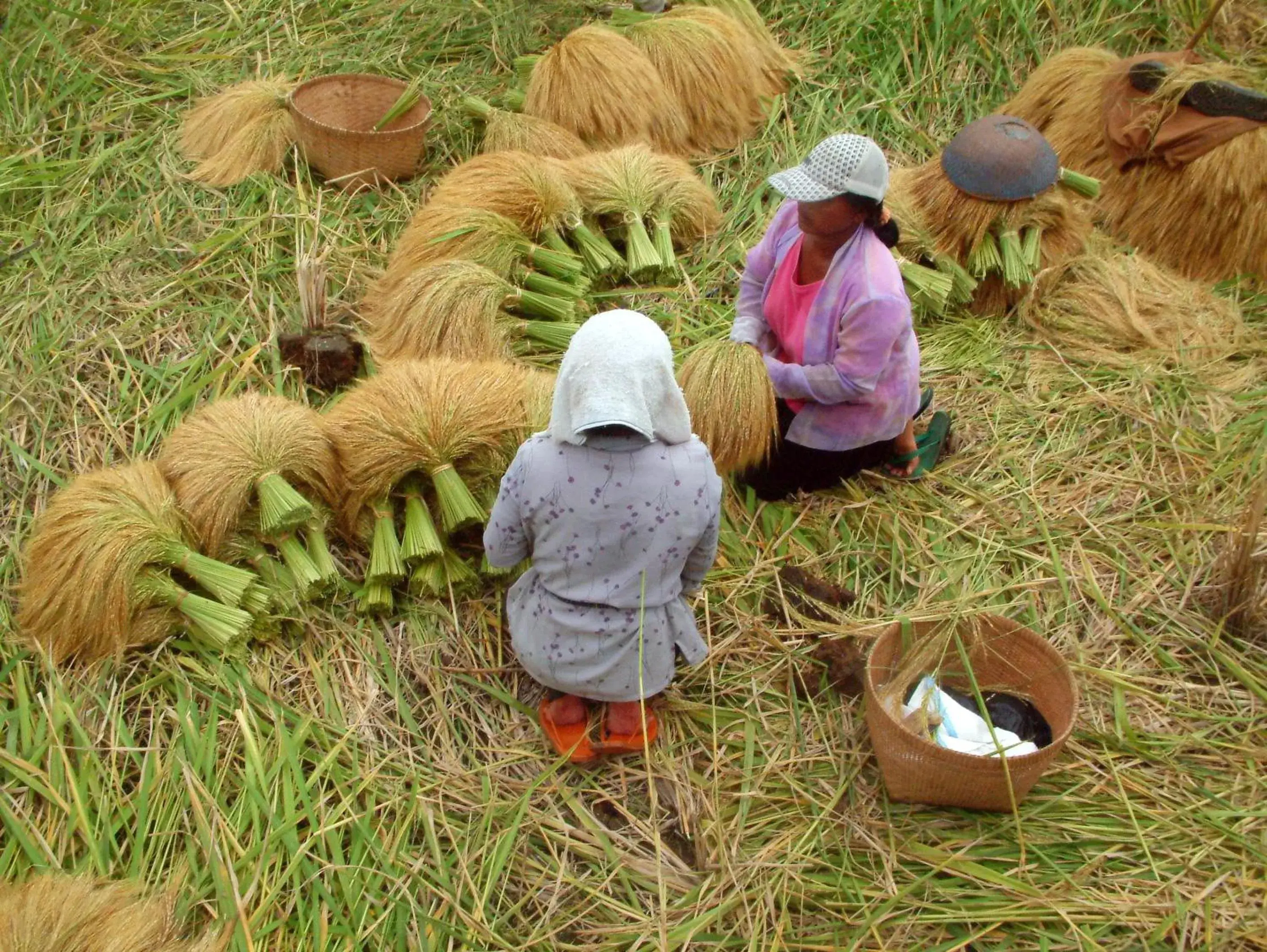 Activities in Puri Lumbung Cottages Restaurant & Spa Munduk Activities in Puri Lumbung Cottages Restaurant & Spa Munduk