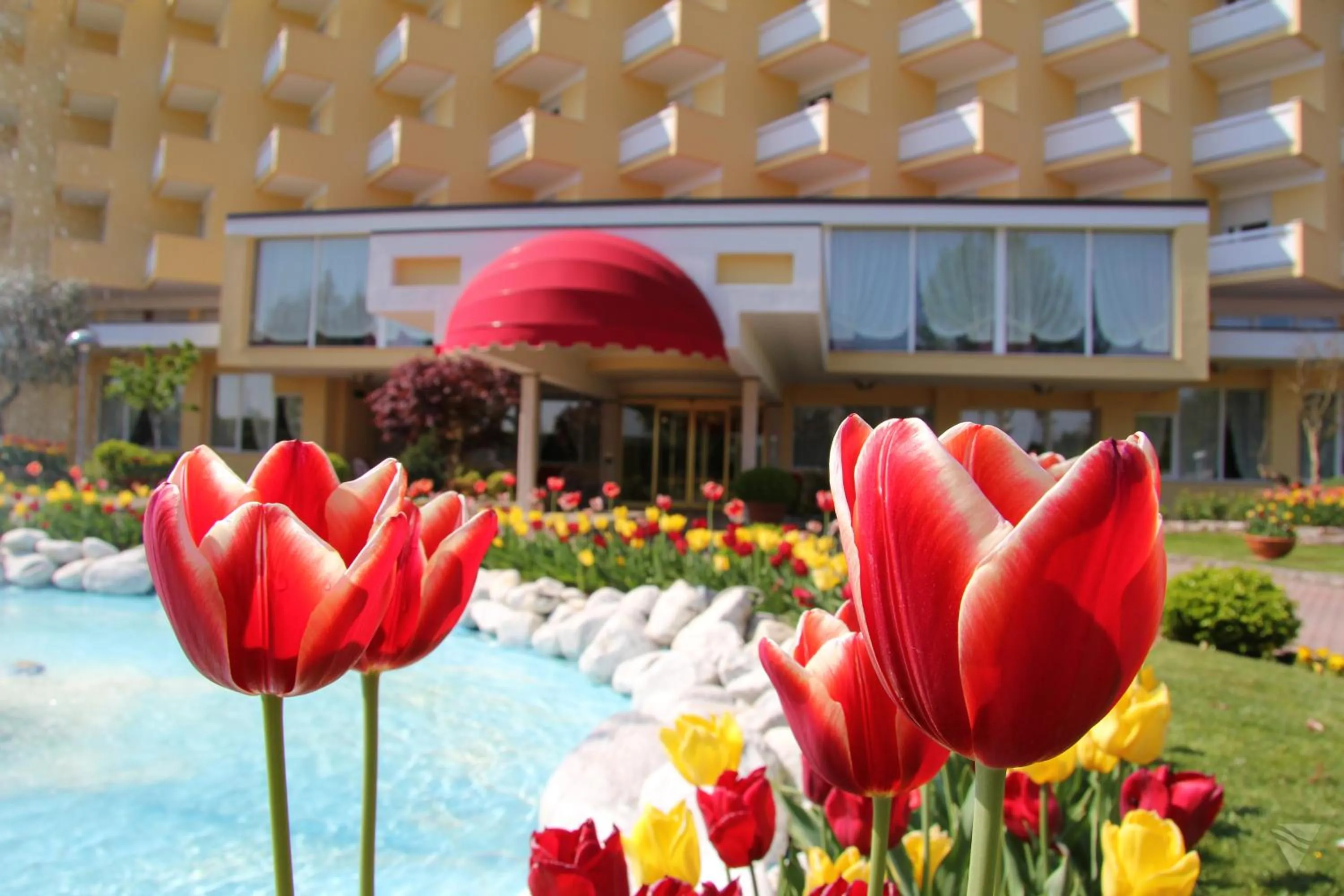 Facade/entrance in Hotel Terme Leonardo