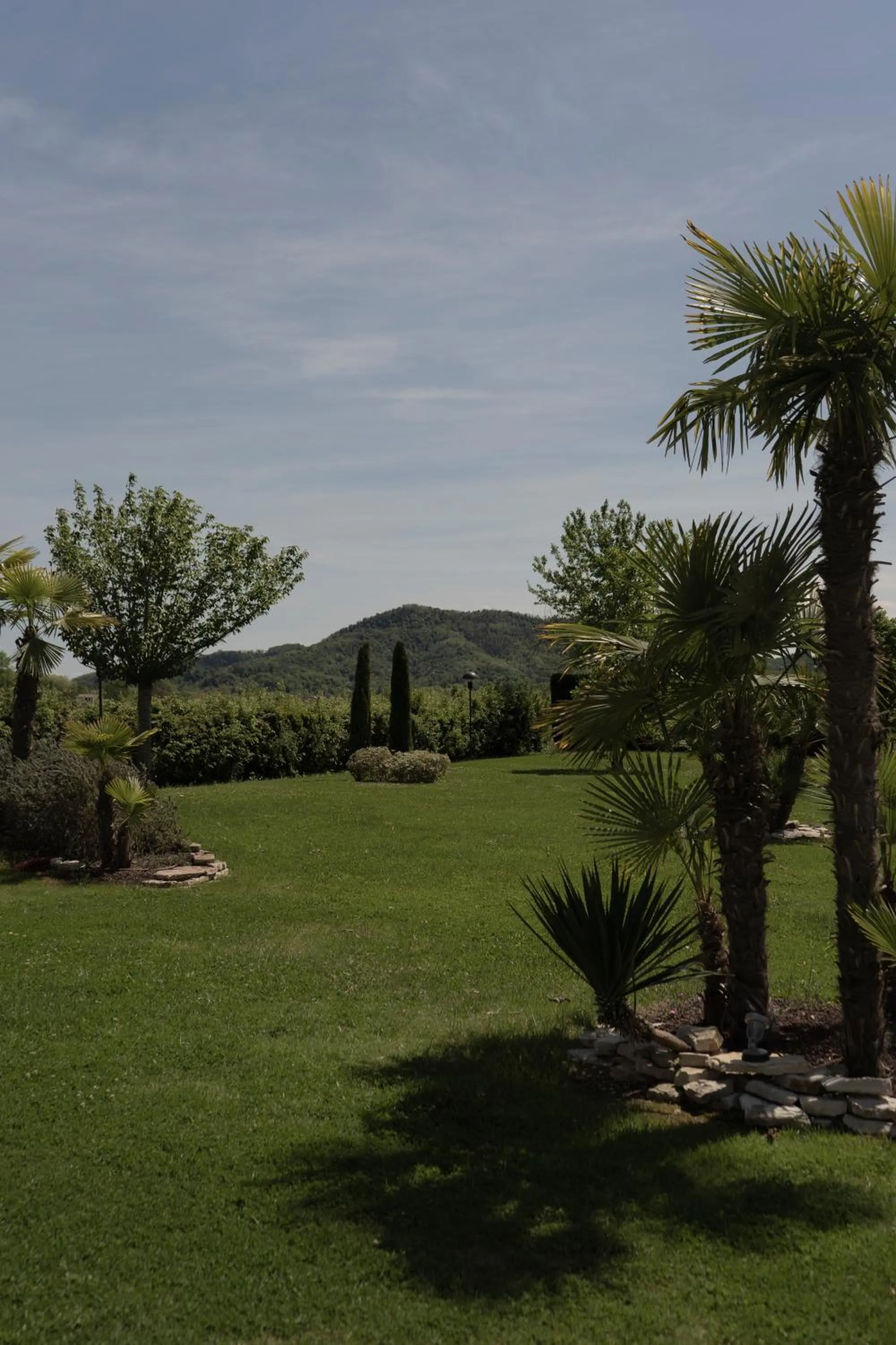 Garden in Hotel Terme Leonardo