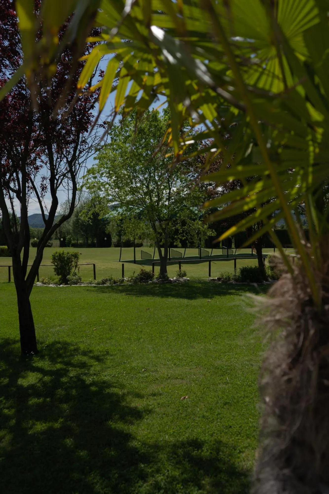 Garden in Hotel Terme Leonardo