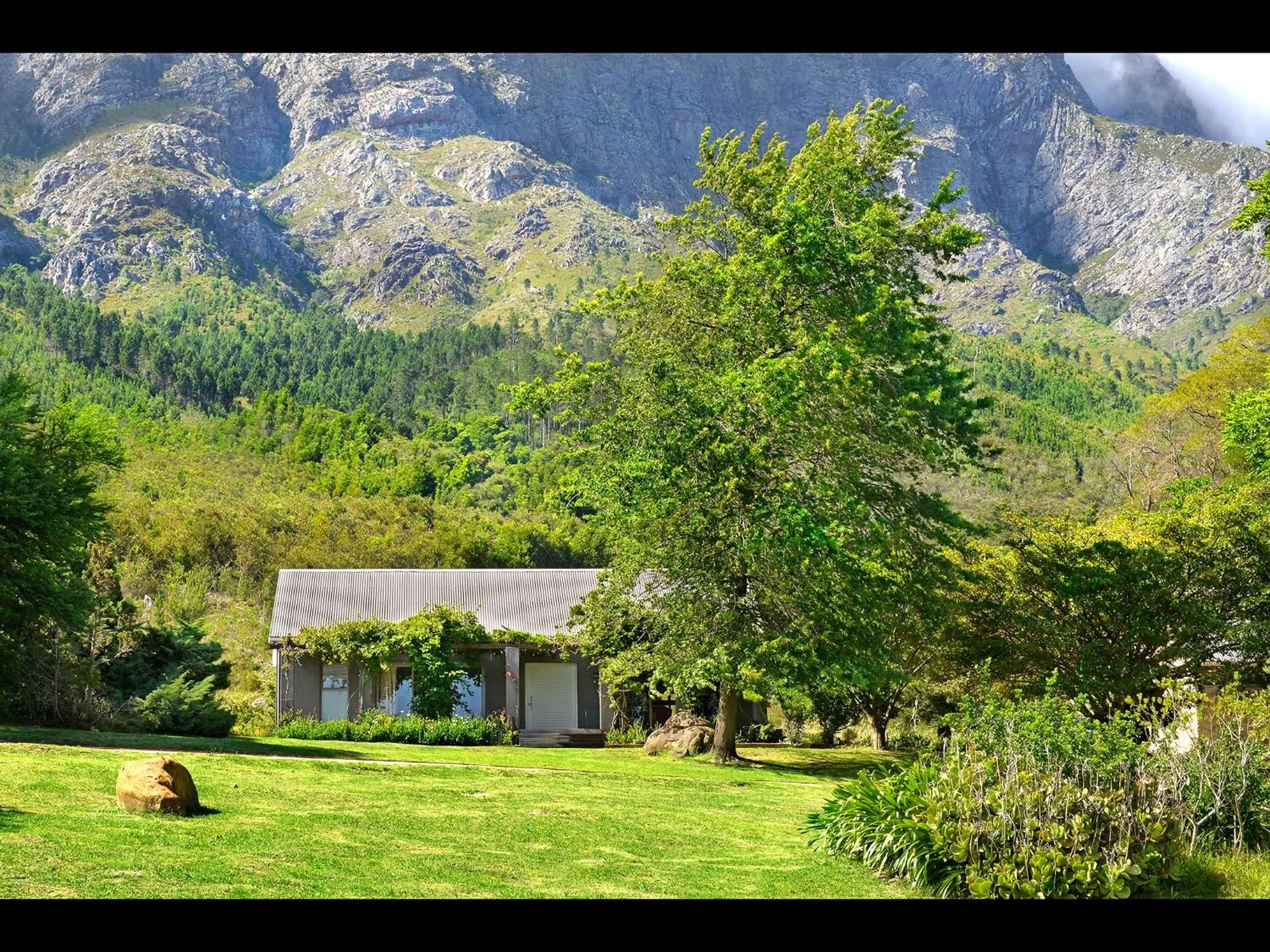 Summer in Umami Mountain Retreat