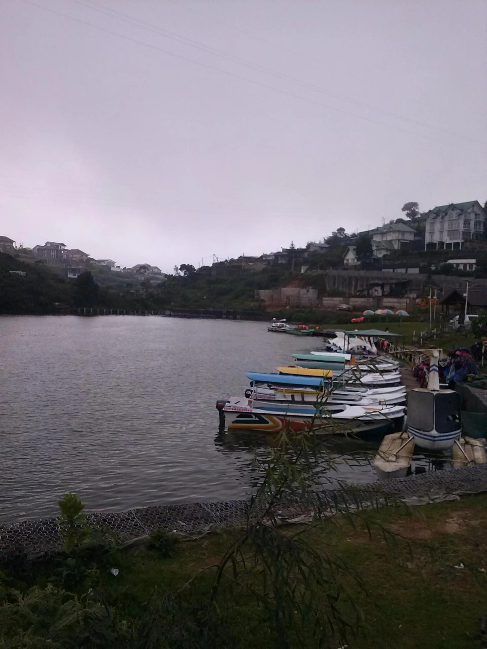 Other in Lake Breeze