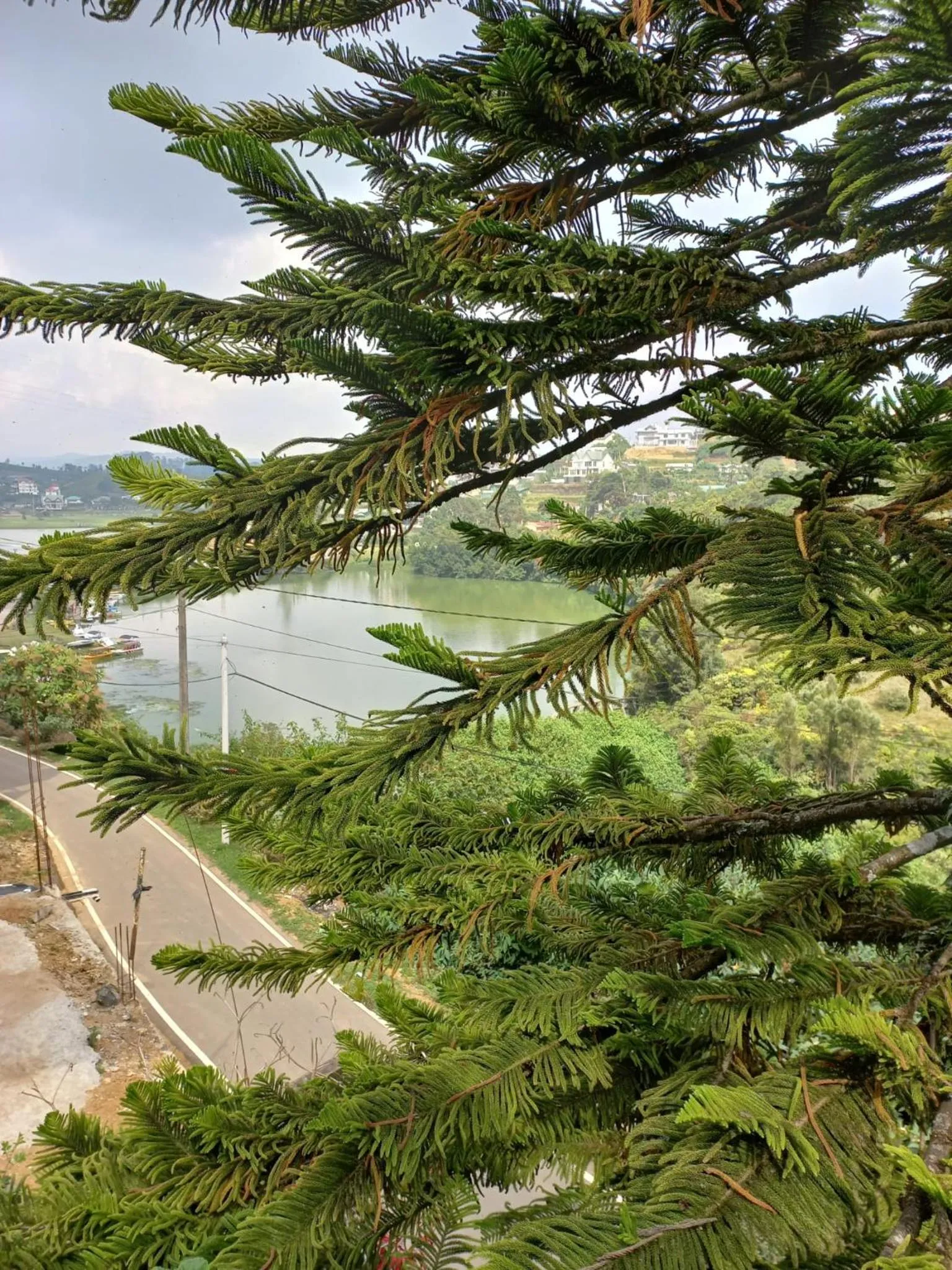View (from property/room) in Lake Breeze