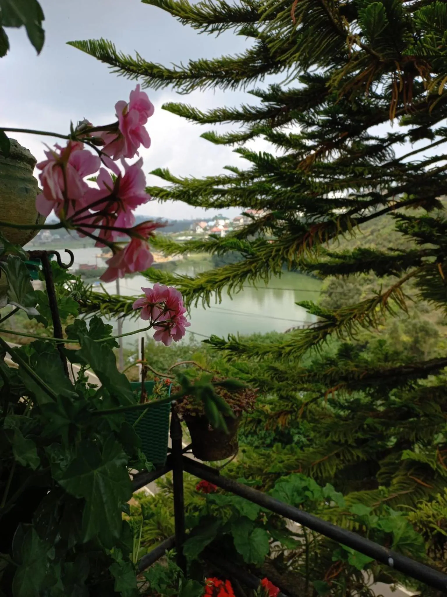 View (from property/room) in Lake Breeze
