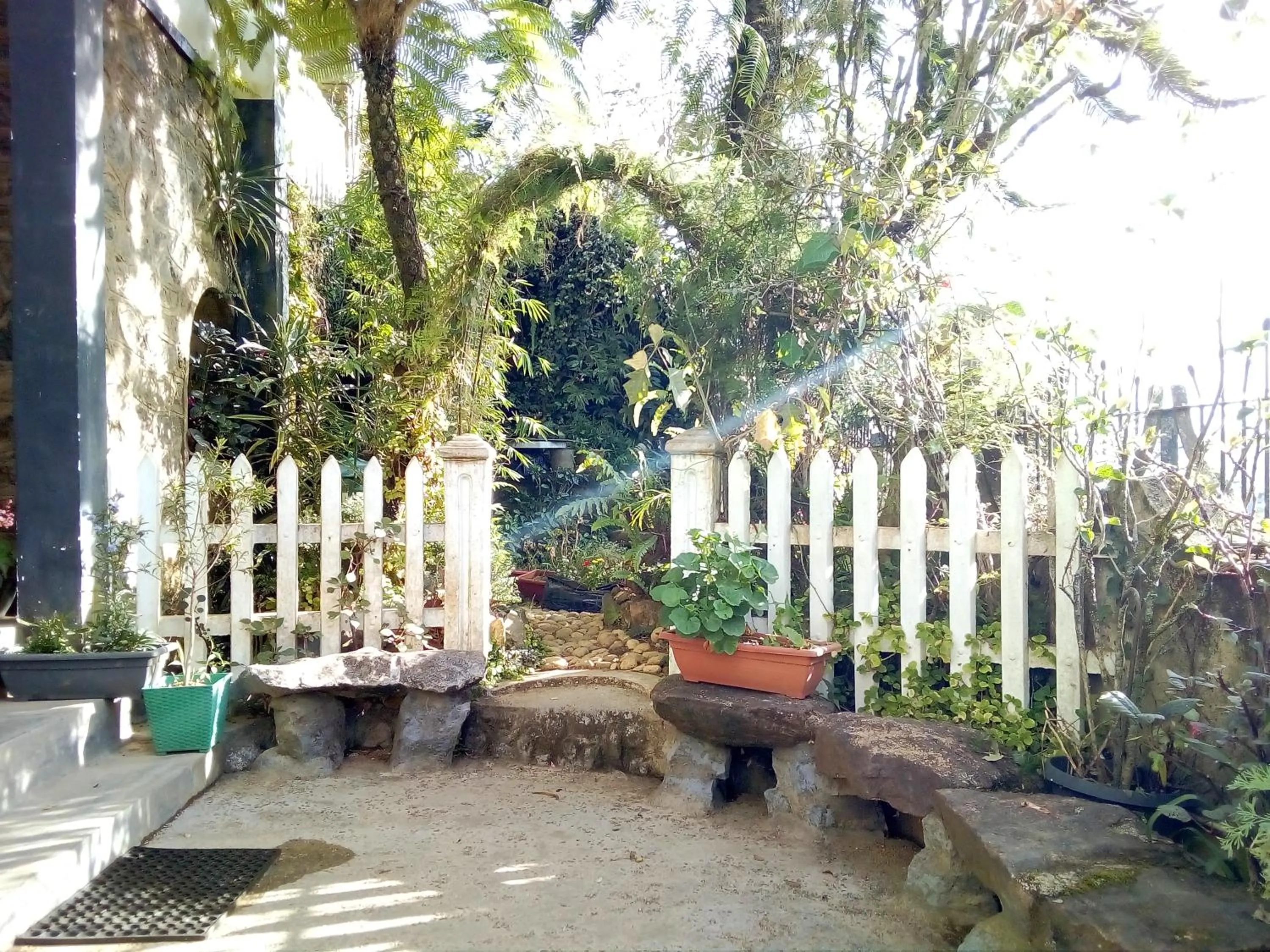 Garden in Lake Breeze