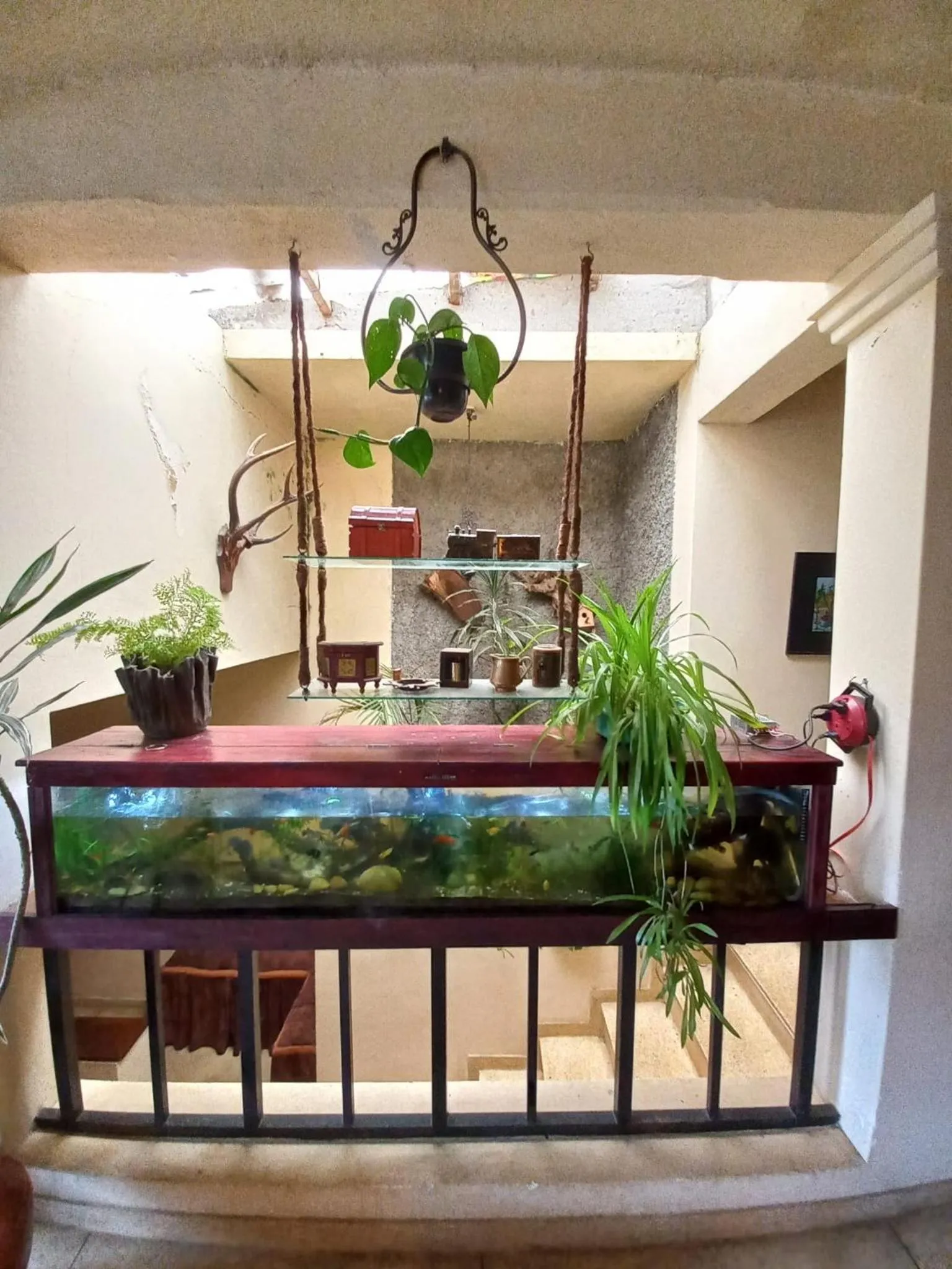 Property building in Lake Breeze