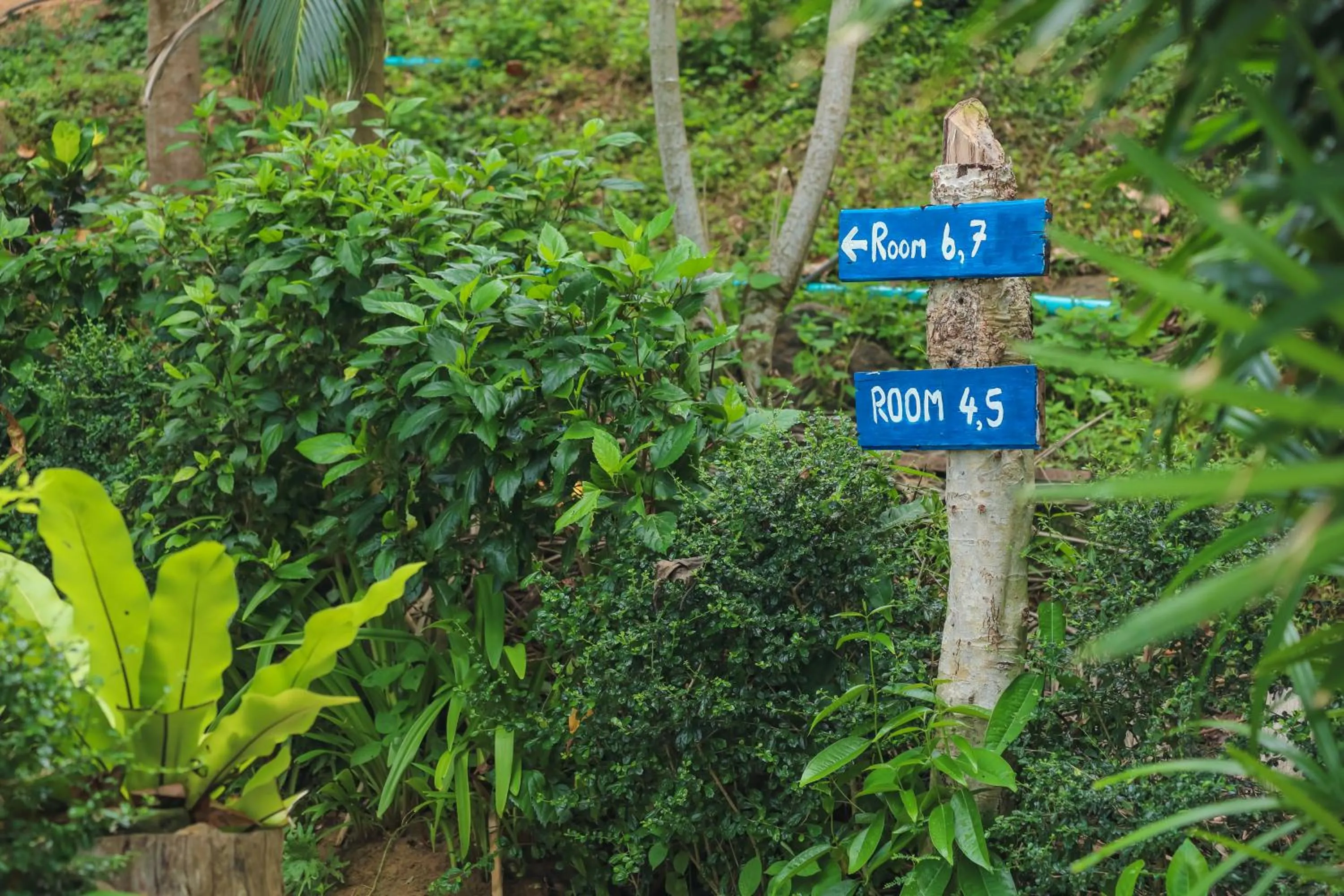 Phi Phi Sunset Bay Resort