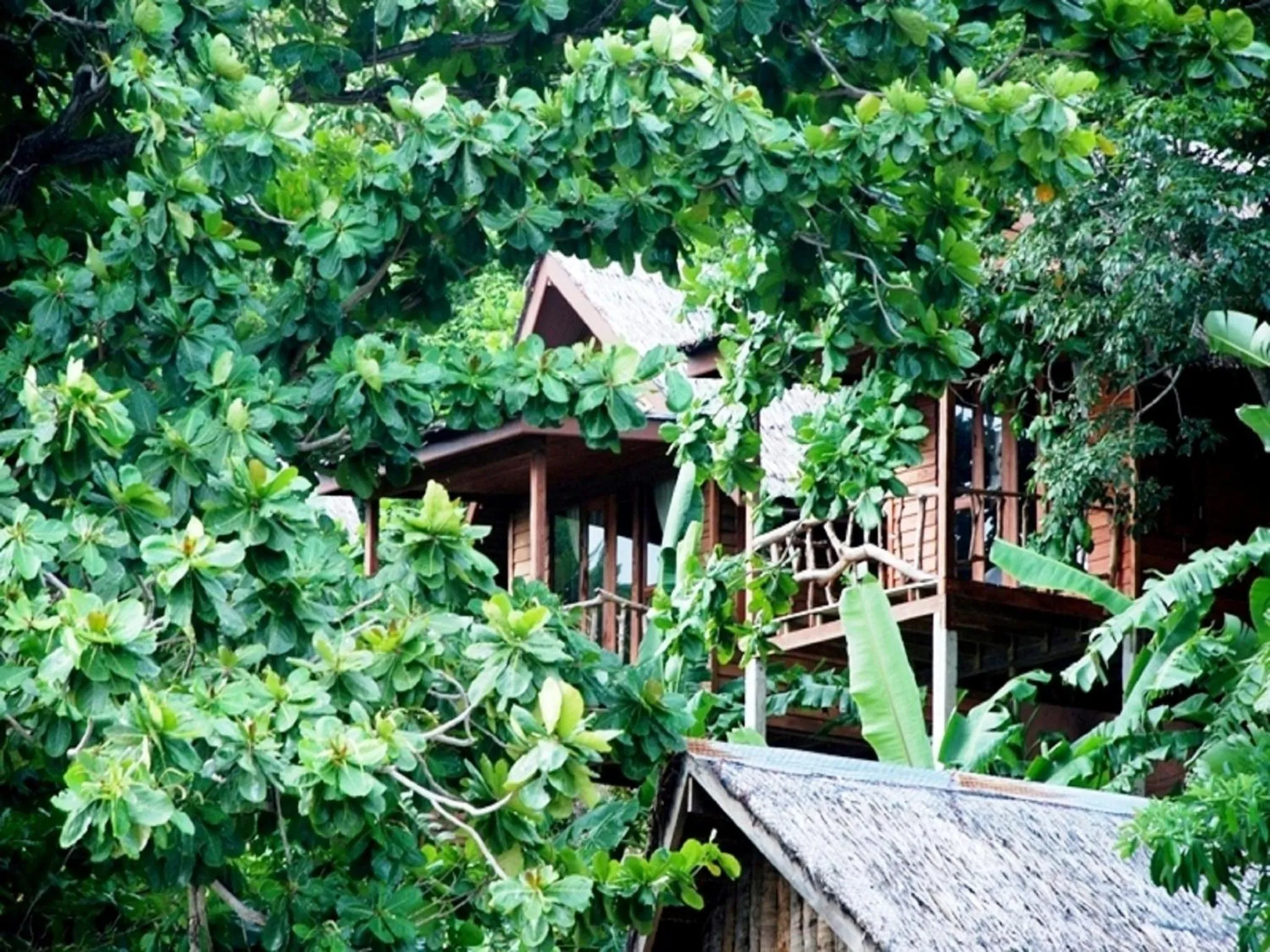 Balcony/Terrace in Phi Phi Sunset Bay Resort