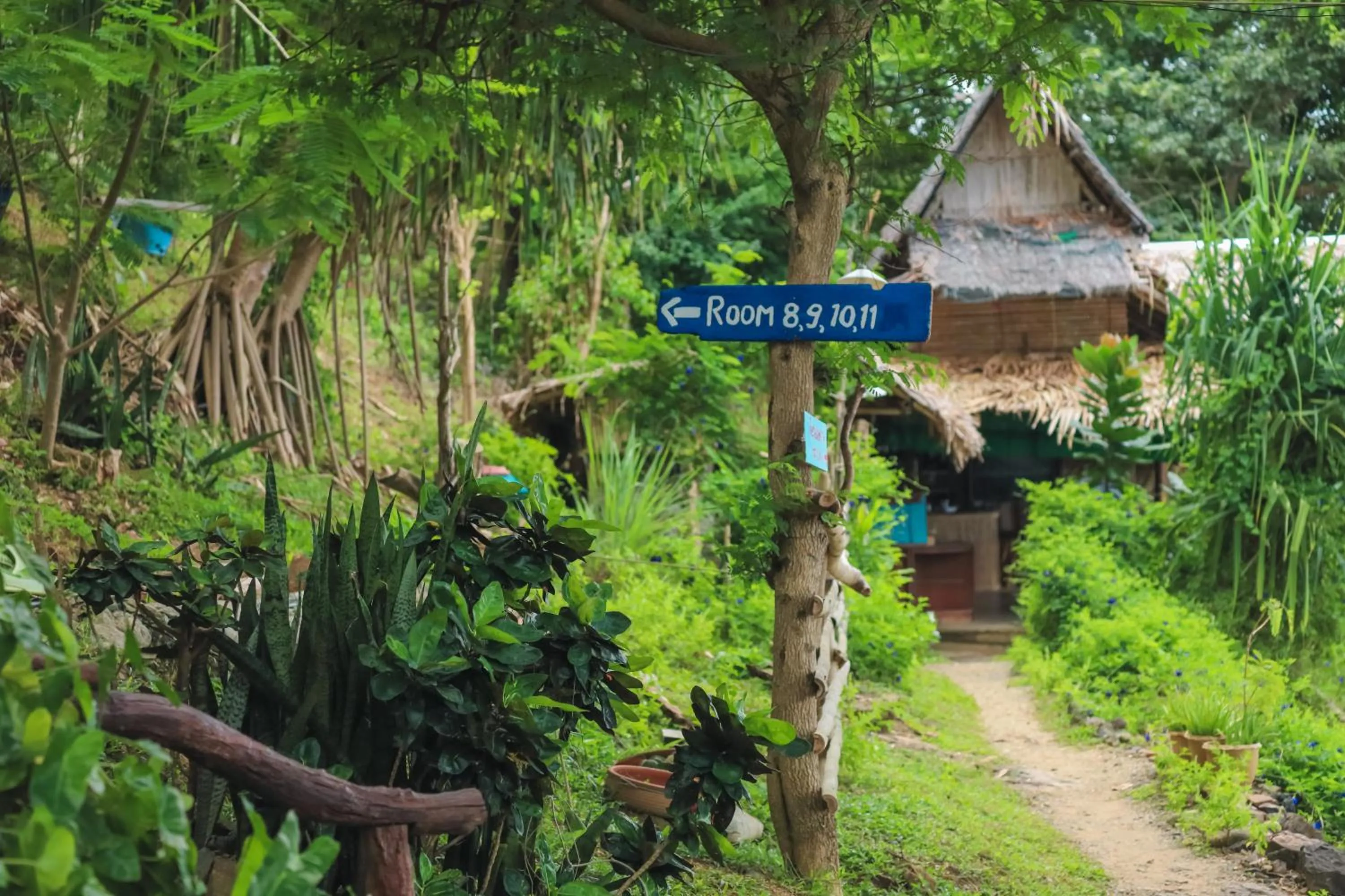 Phi Phi Sunset Bay Resort