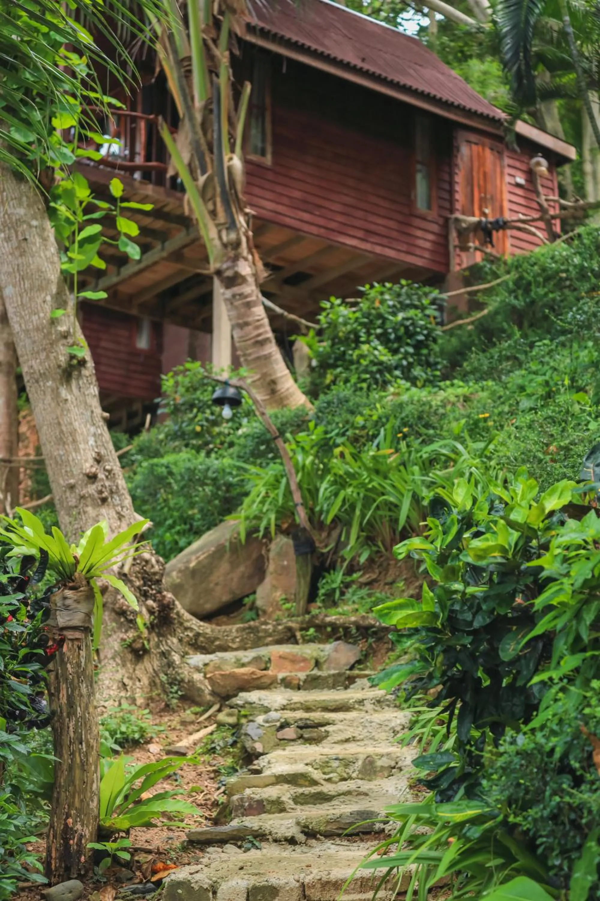 Phi Phi Sunset Bay Resort