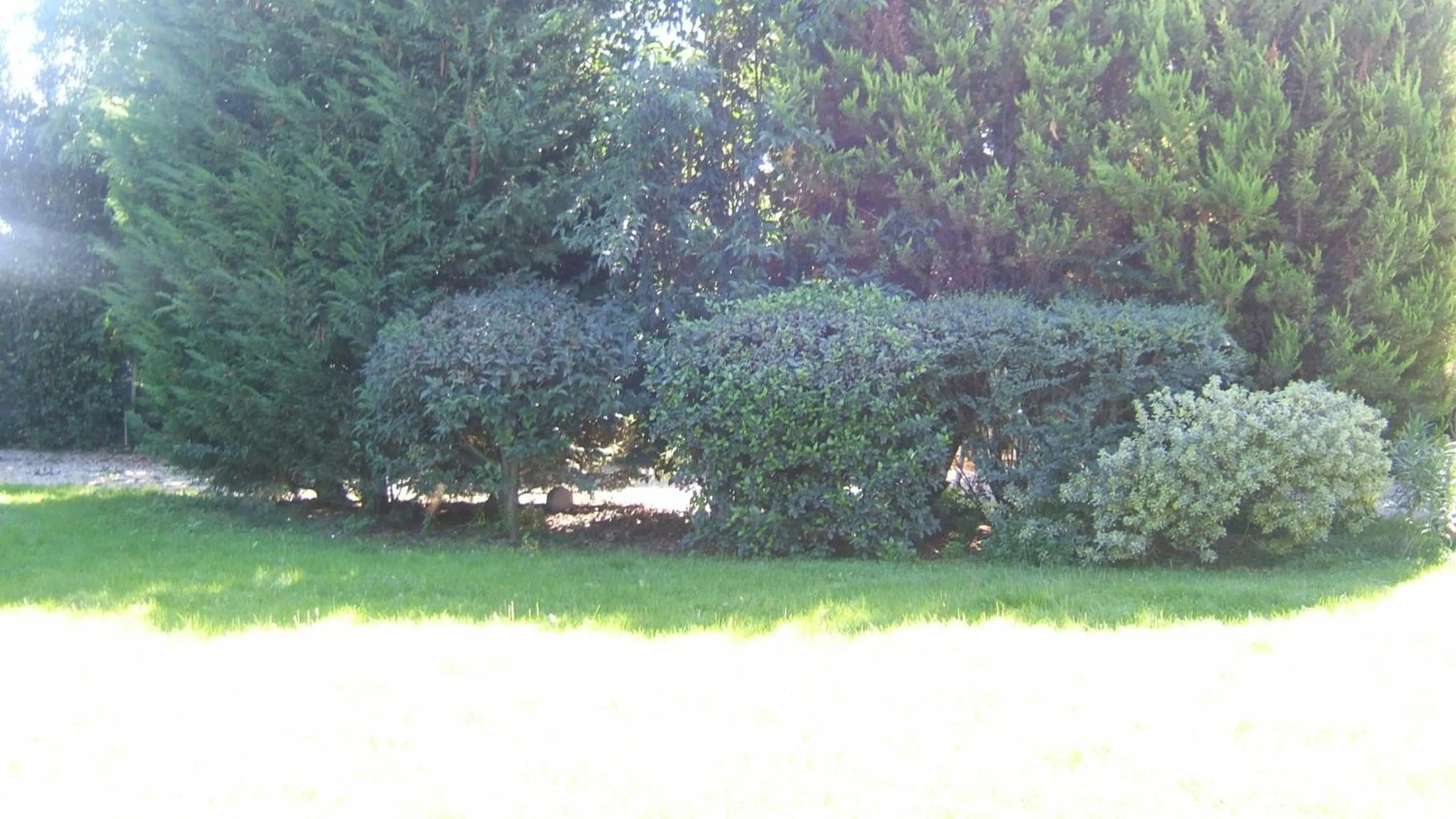 Garden in Locanda Canareggio