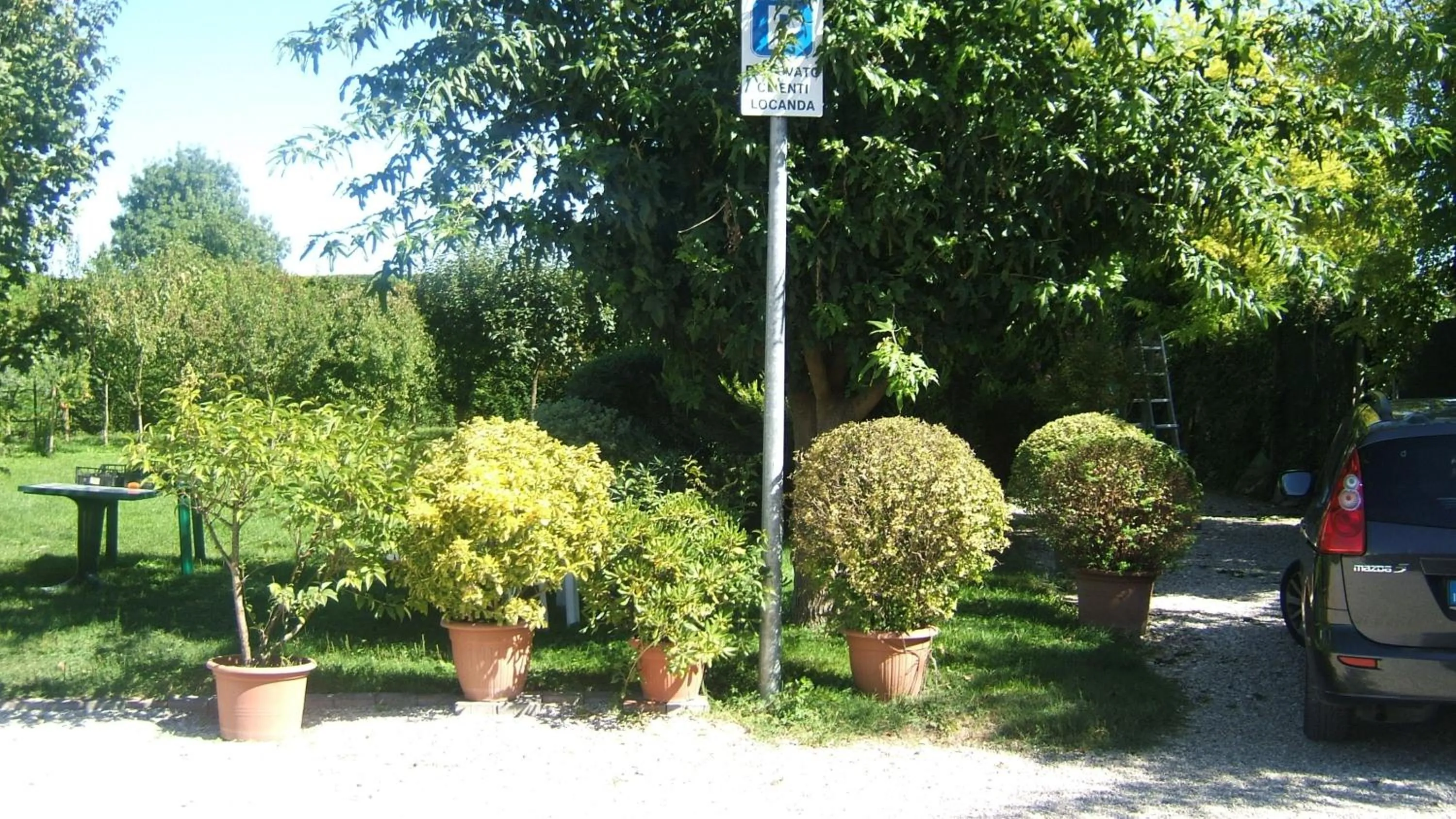 Garden in Locanda Canareggio