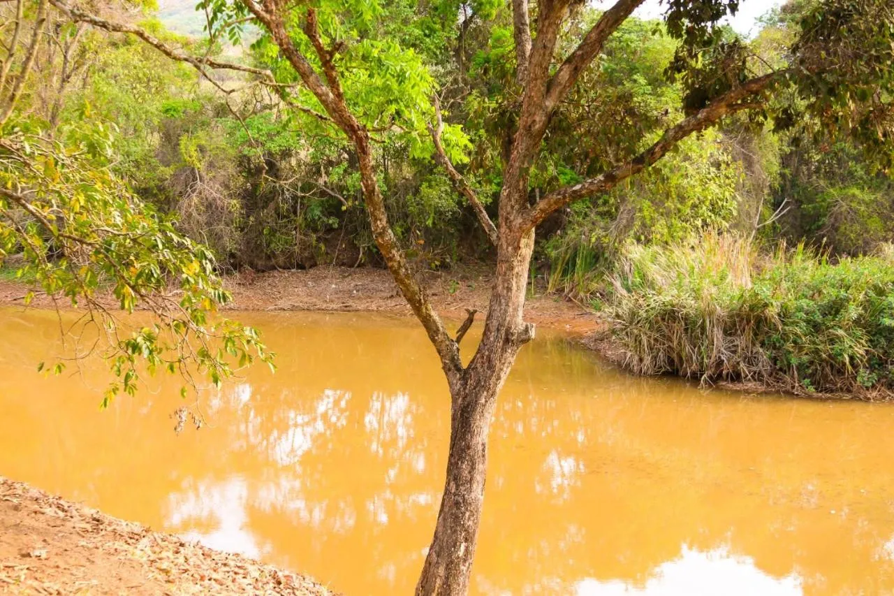 Chalés Cantinho da Roça