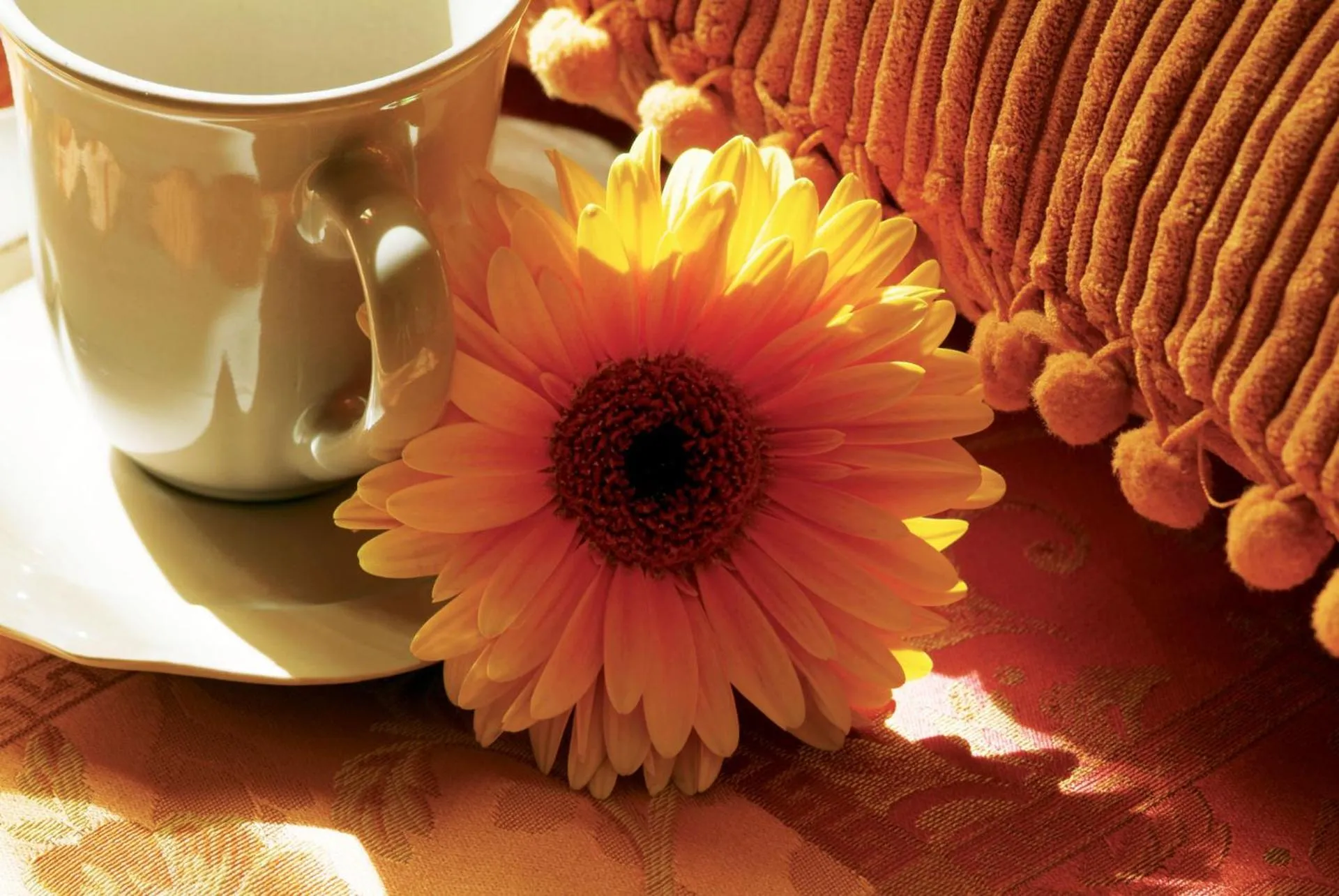 Breakfast in Villa Della Certosa