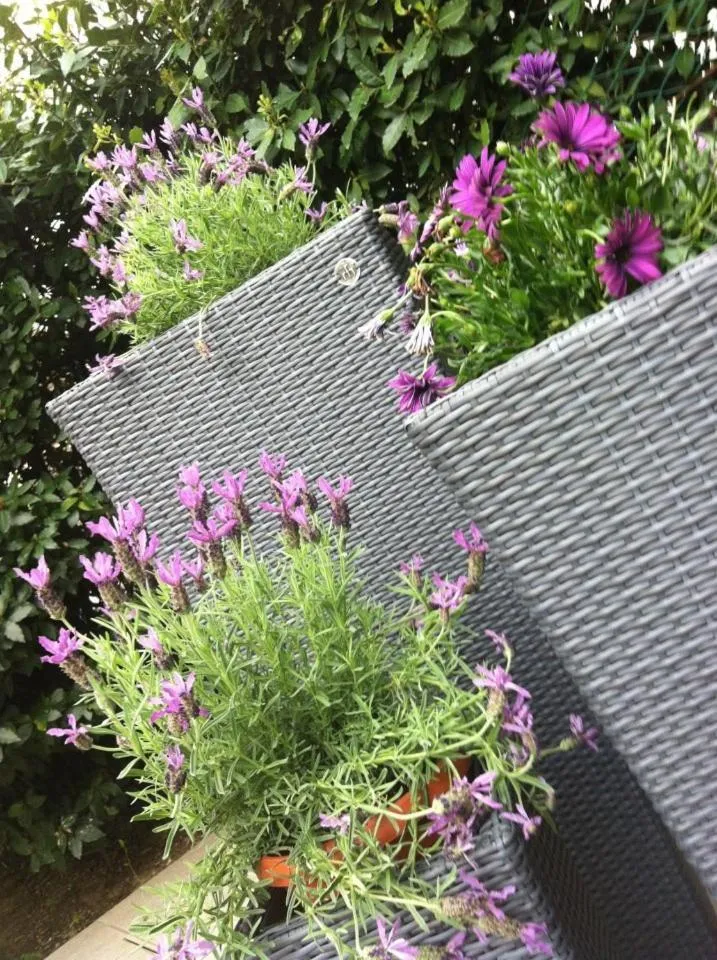 Decorative detail in Villa Della Certosa