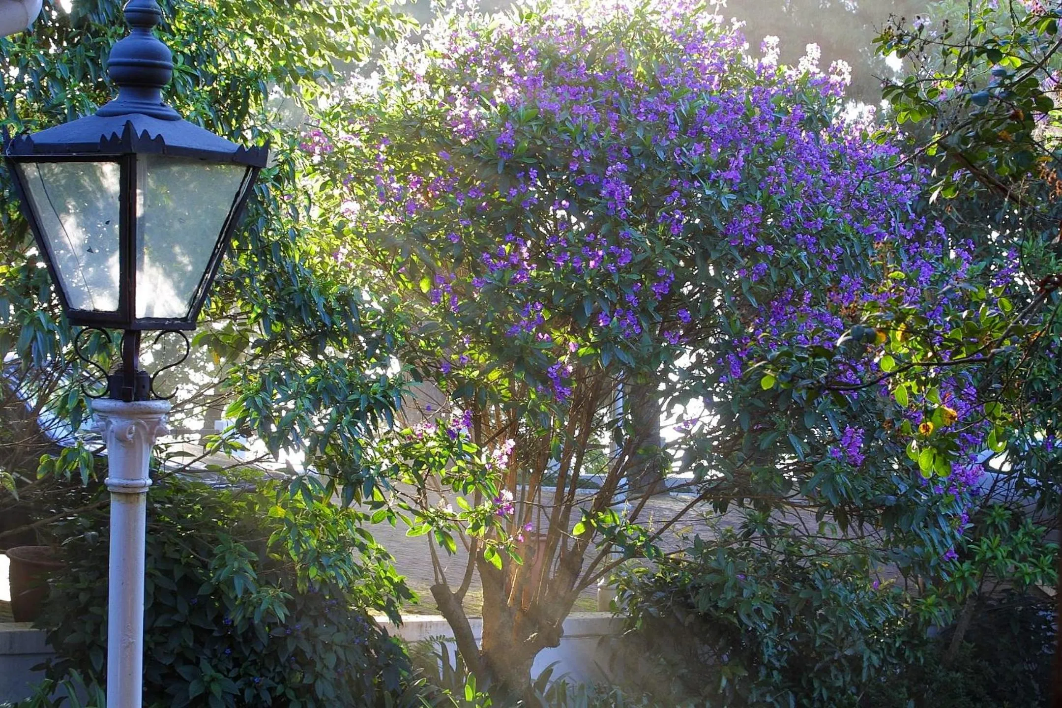 Coach House Hotel & Spa Tzaneen