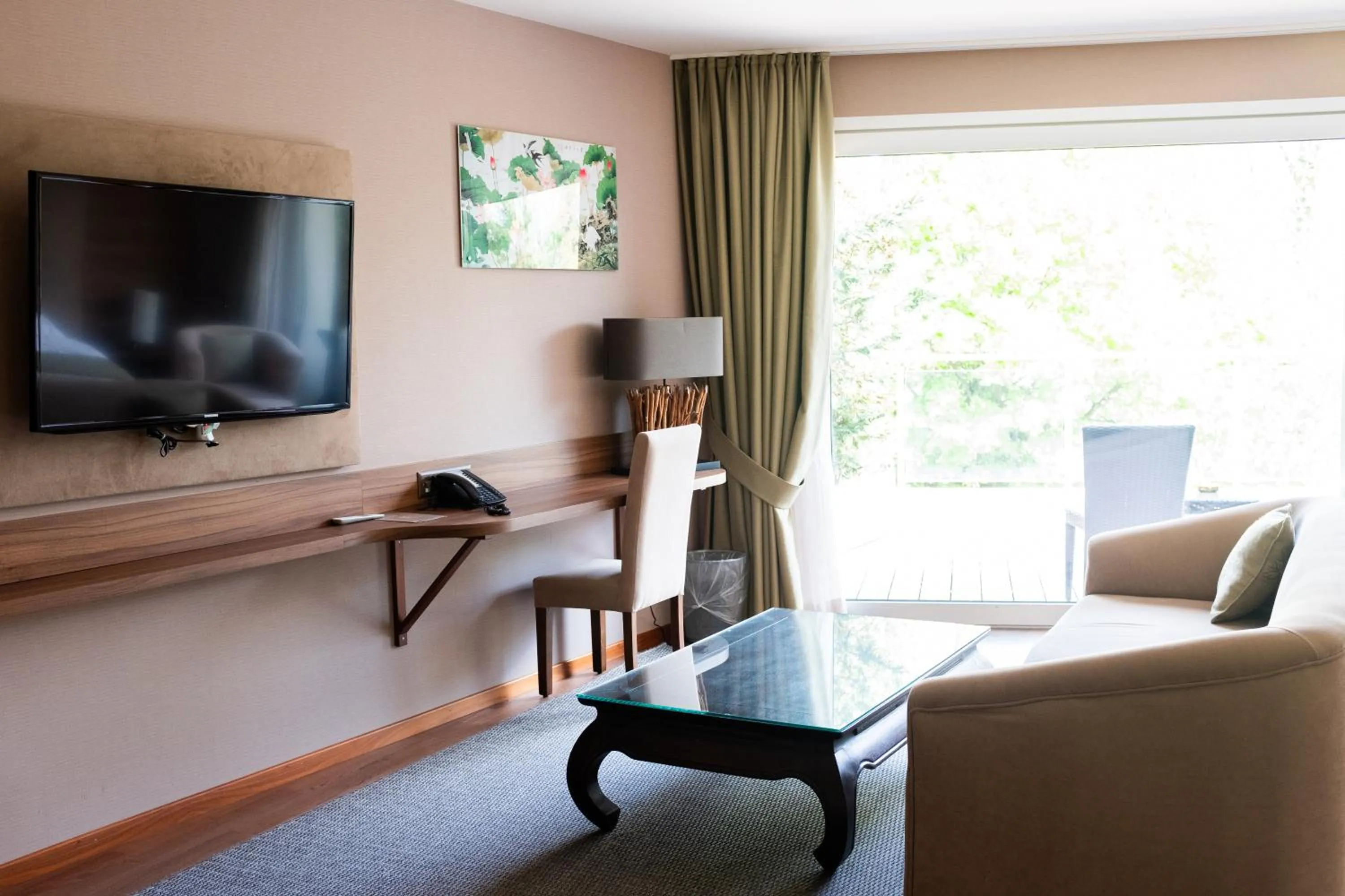 TV and multimedia in Baron Tavernier Hotel Restaurant & SPA