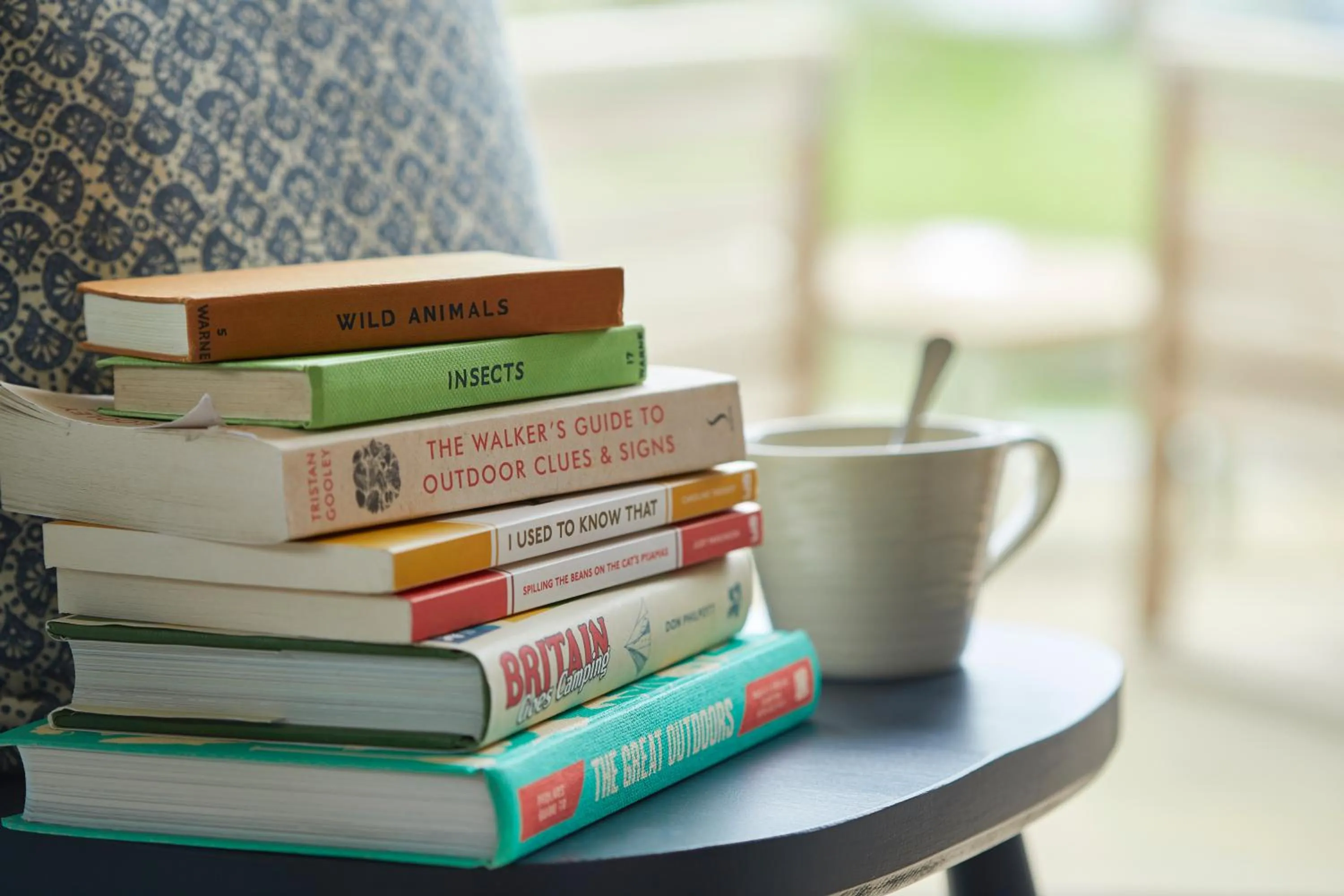 Decorative detail in The Swan, Streatley, Berkshire
