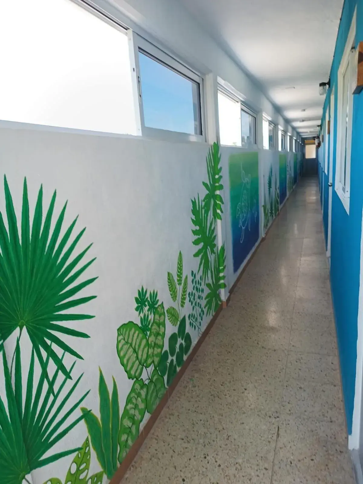 Economy Double Room in Blue Coconut Cancun Hotel Economy Double Room in Blue Coconut Cancun Hotel