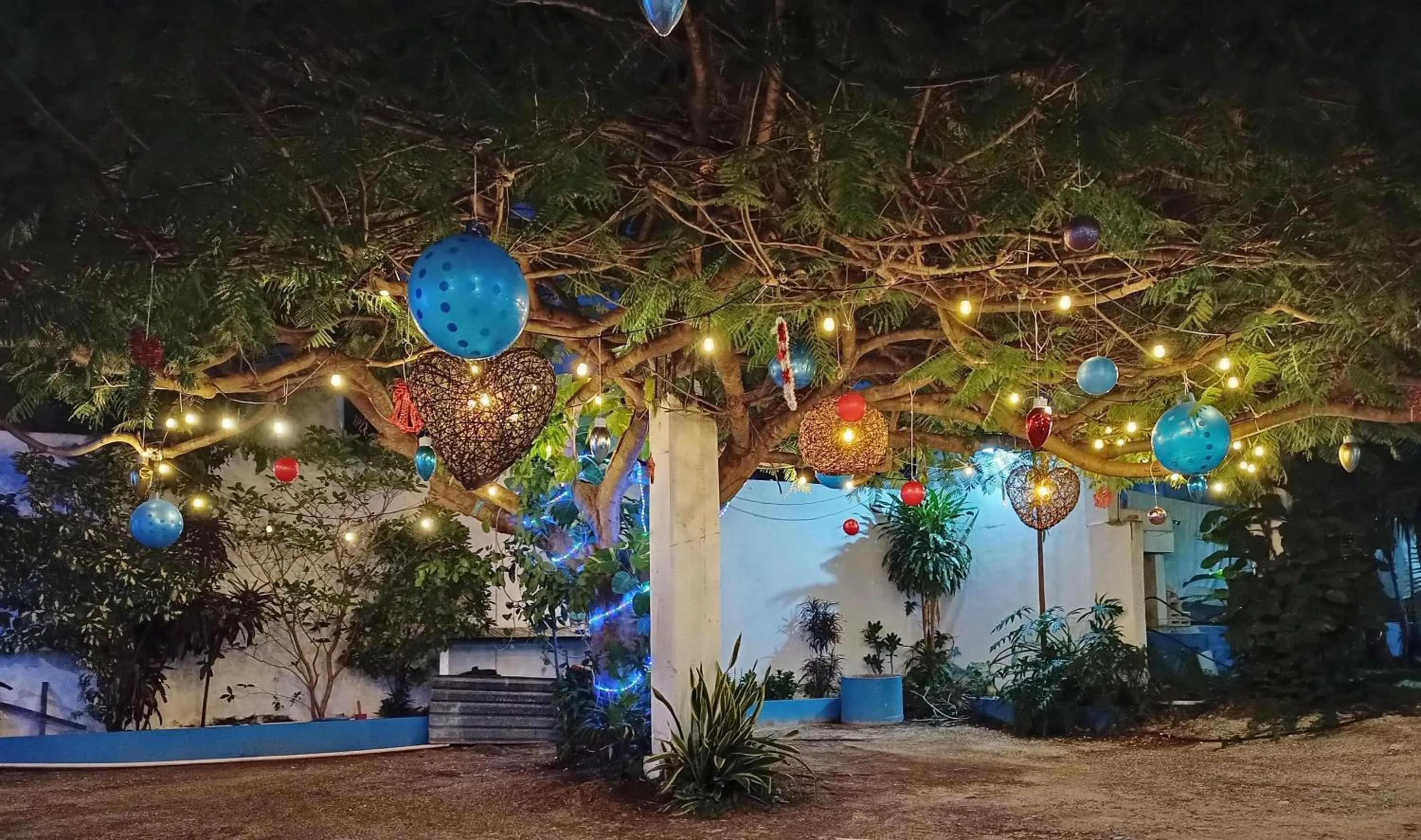 Garden view in Blue Coconut Cancun Hotel