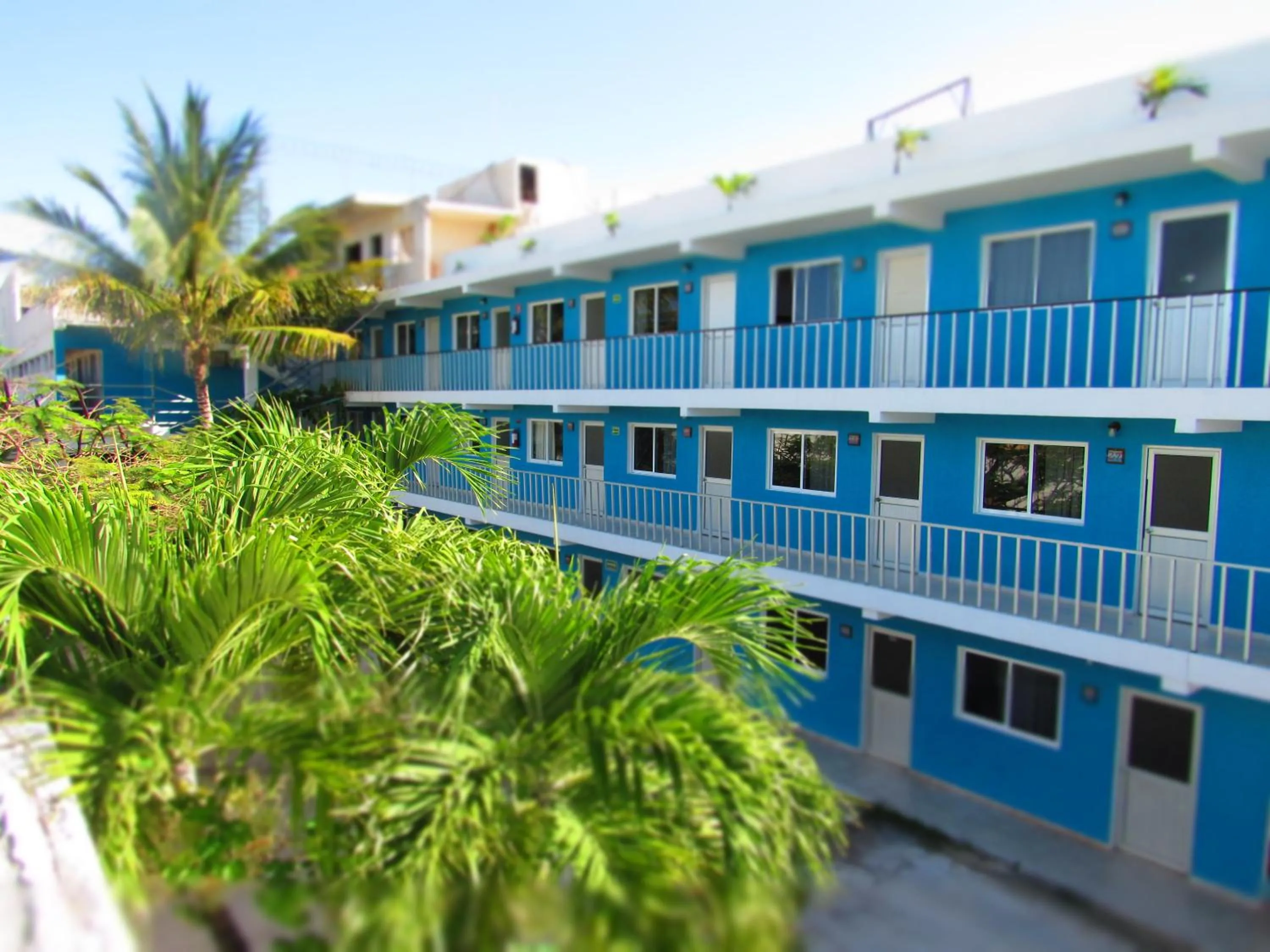 Property building in Blue Coconut Cancun Hotel
