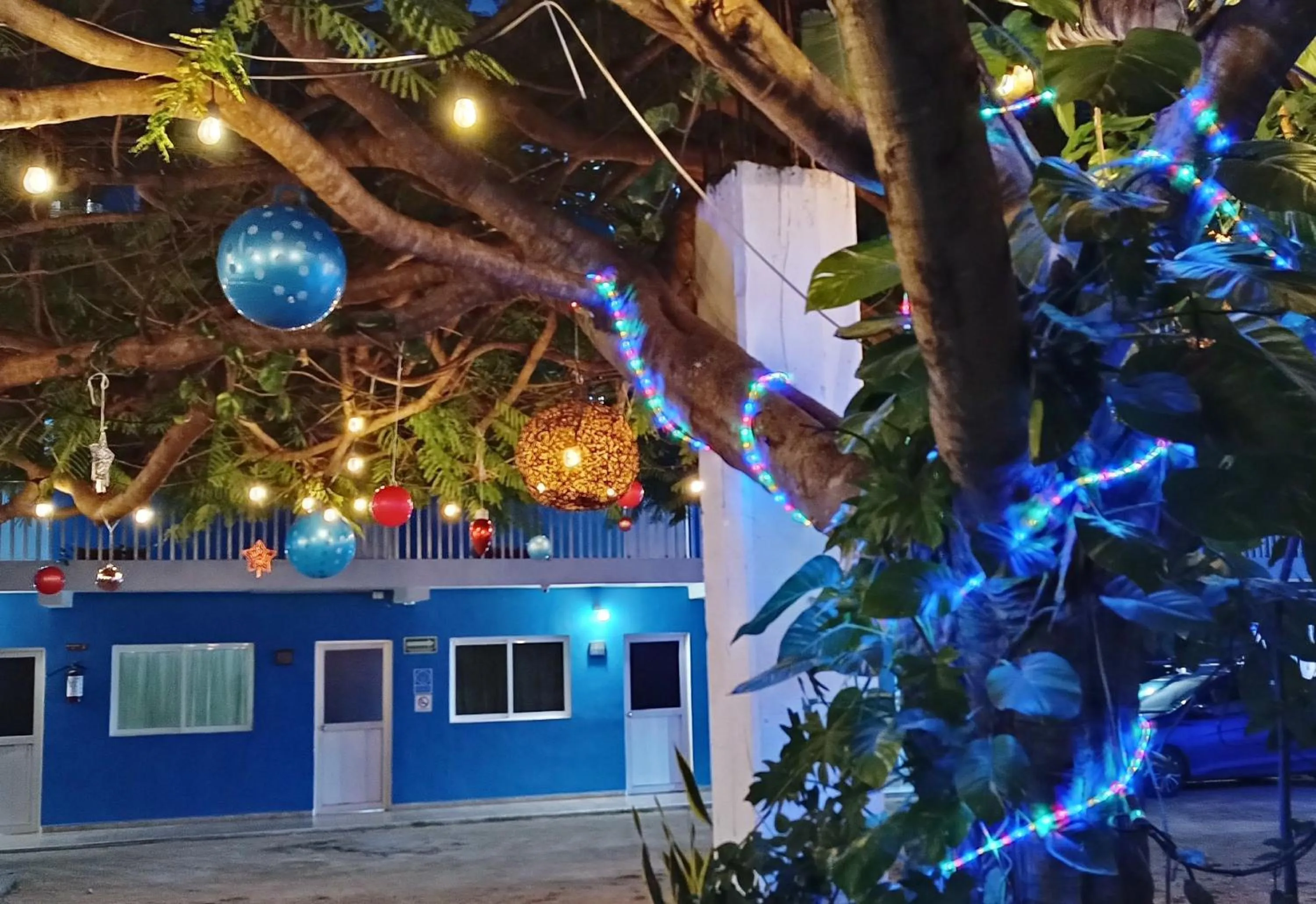 View (from property/room) in Blue Coconut Cancun Hotel