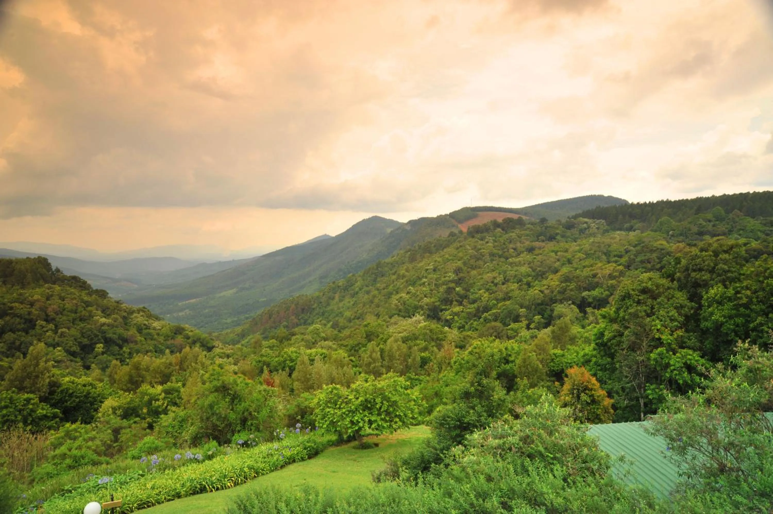 View (from property/room) in Magoebaskloof Hotel