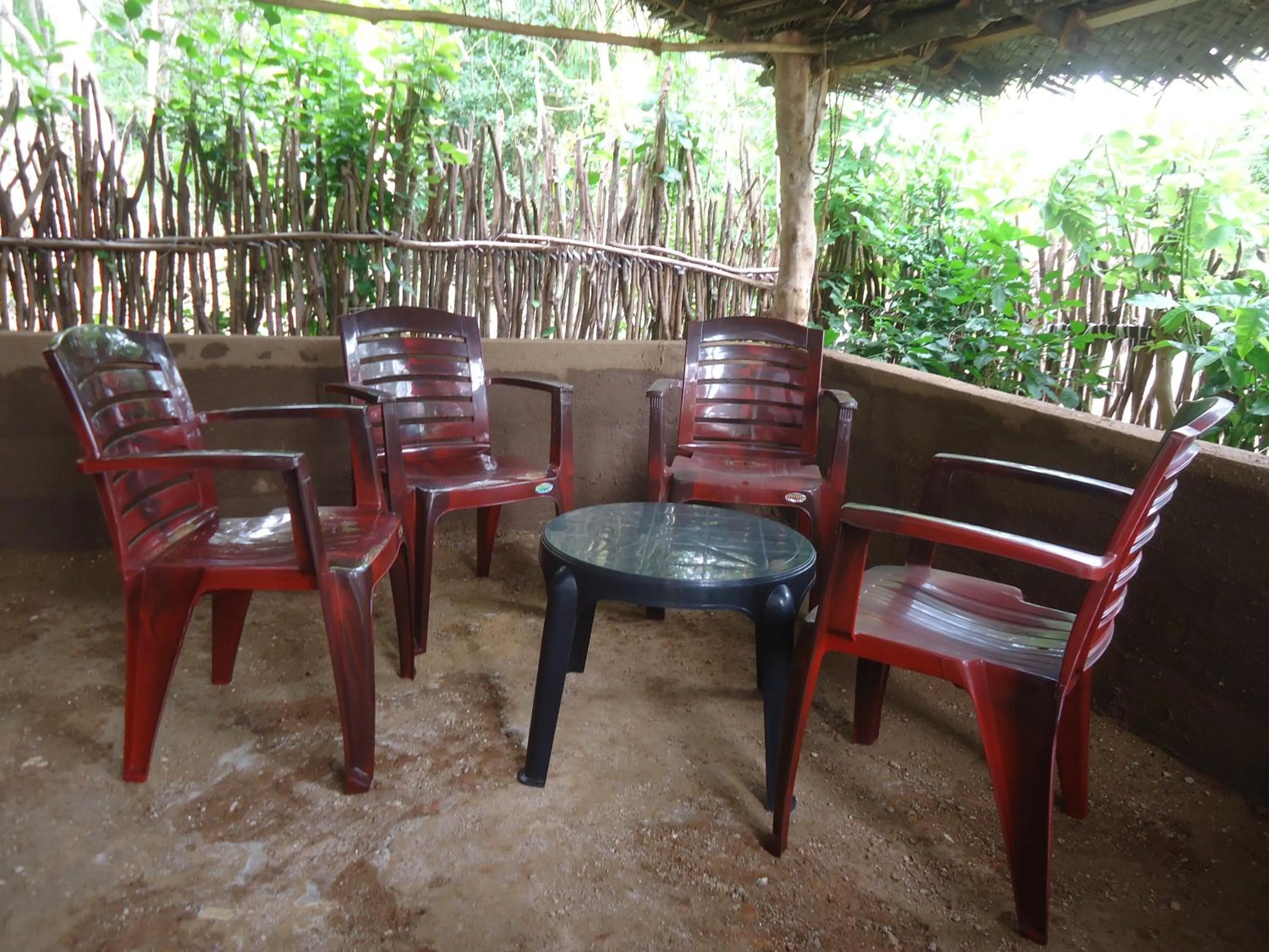 Garden in Hiriketiya White House