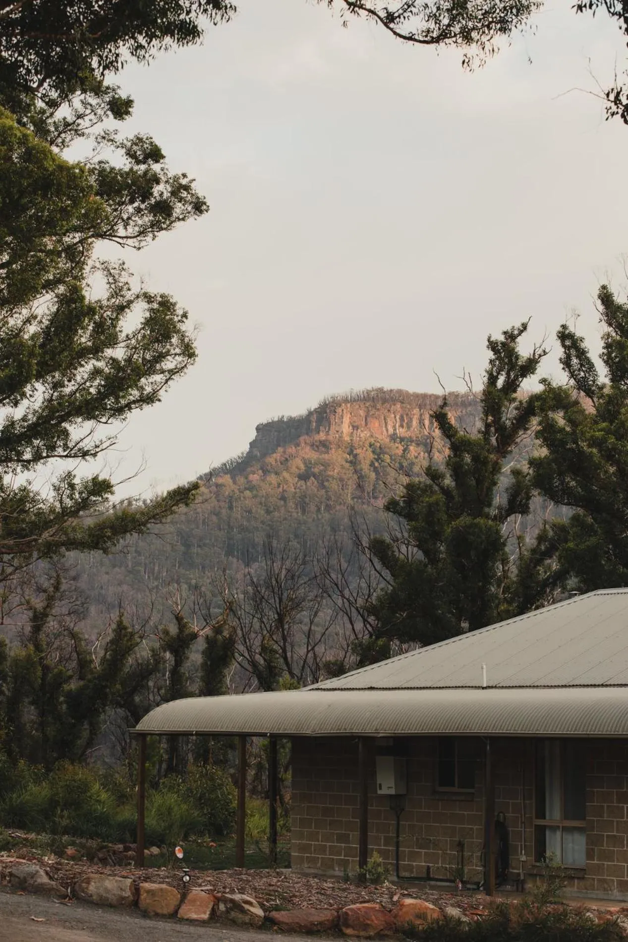 Natural landscape in Banksia Park Cottages