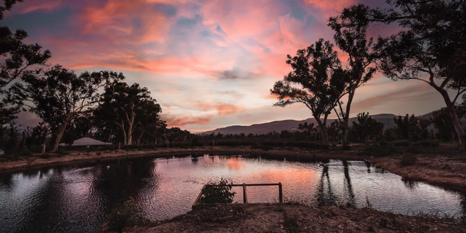 Natural landscape in Banksia Park Cottages