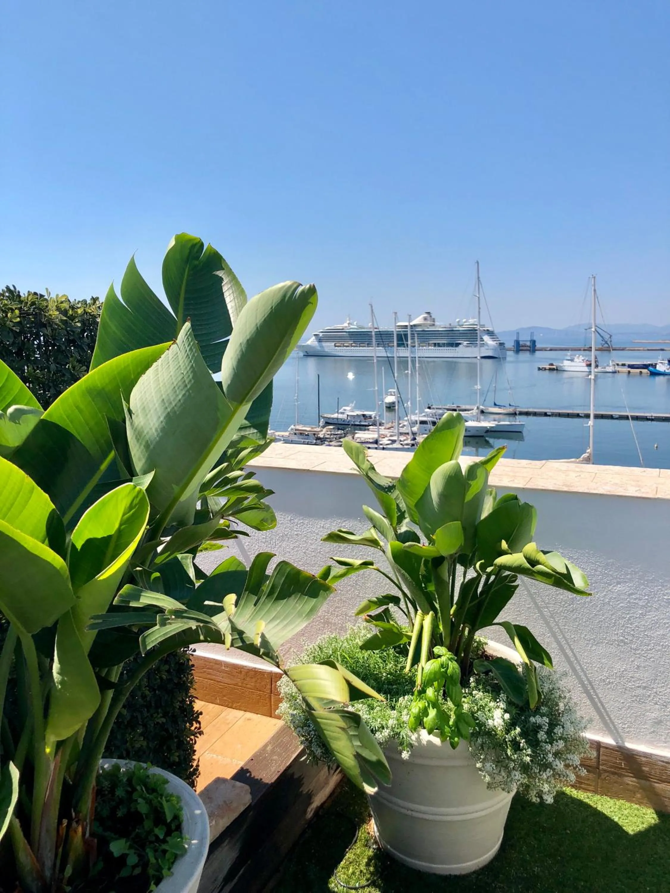 Balcony/Terrace in Marina Di Castello