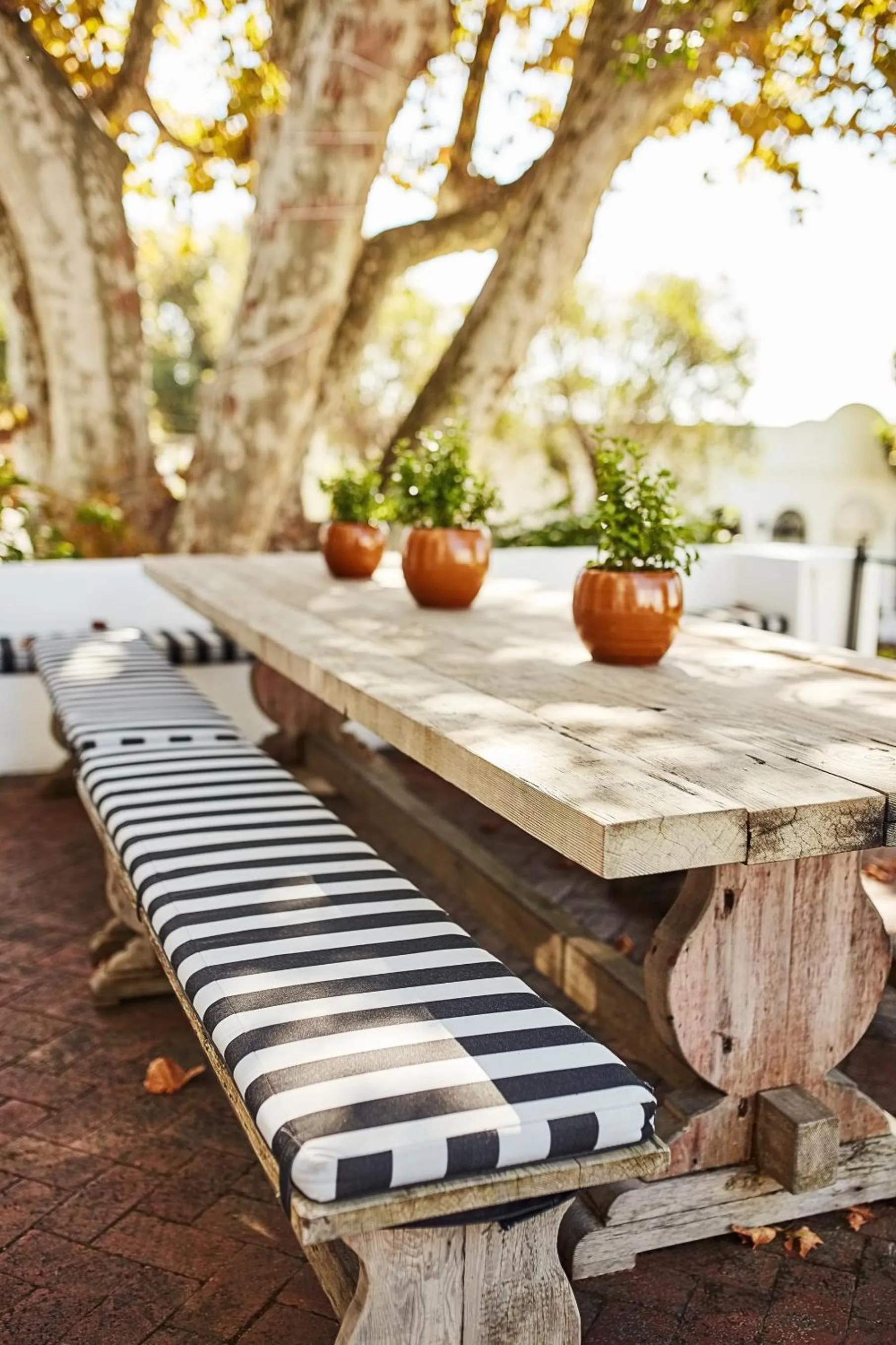 Balcony/Terrace in The Andros Boutique Hotel