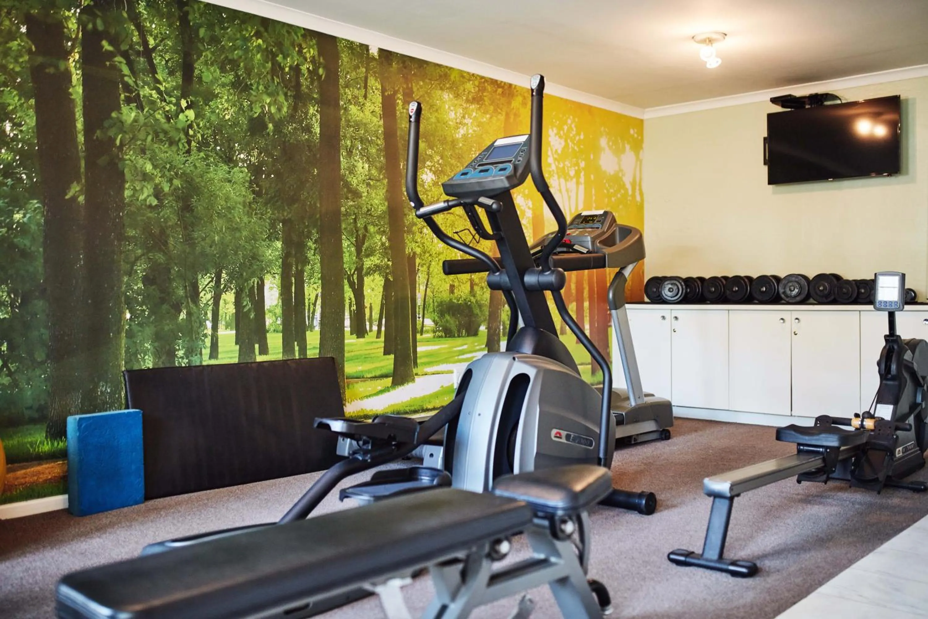 Fitness centre/facilities in The Andros Boutique Hotel