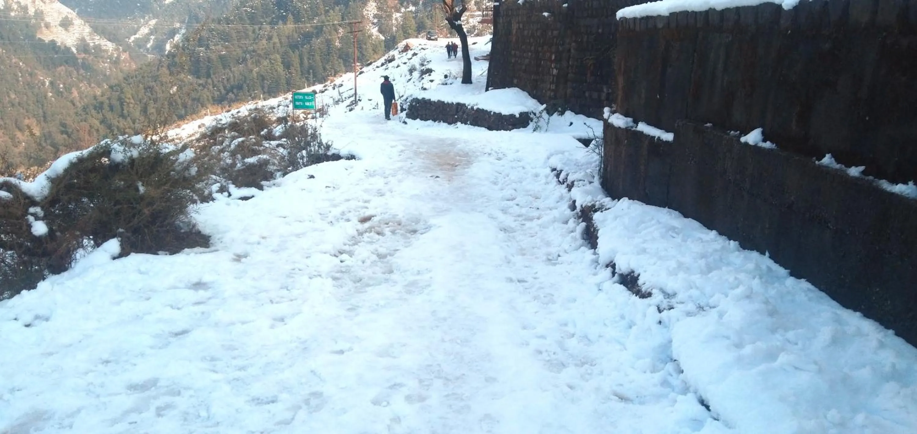 Natural landscape in Hotel Victoriya Palace,Mcleod Ganj