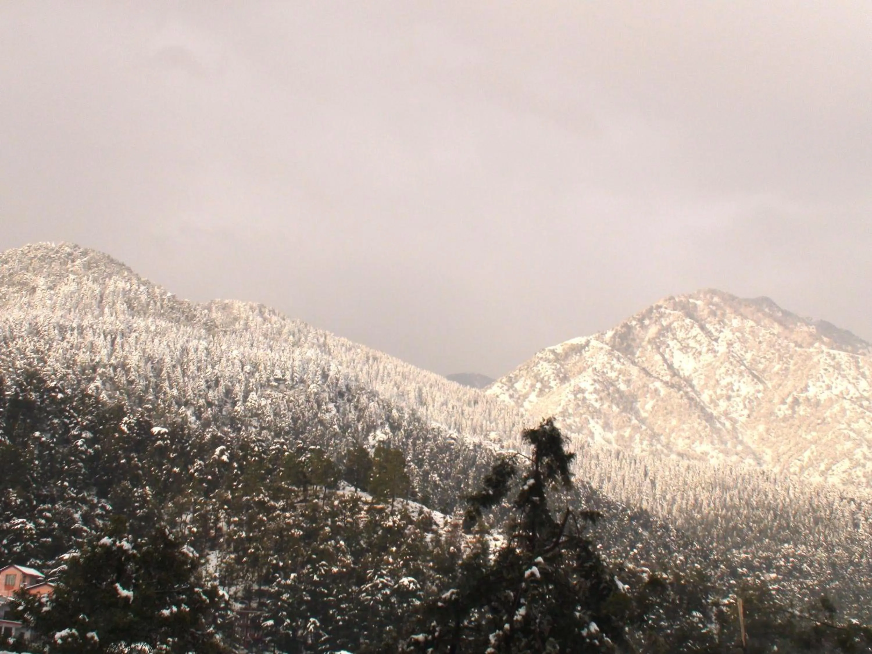 Property building in Hotel Victoriya Palace,Mcleod Ganj