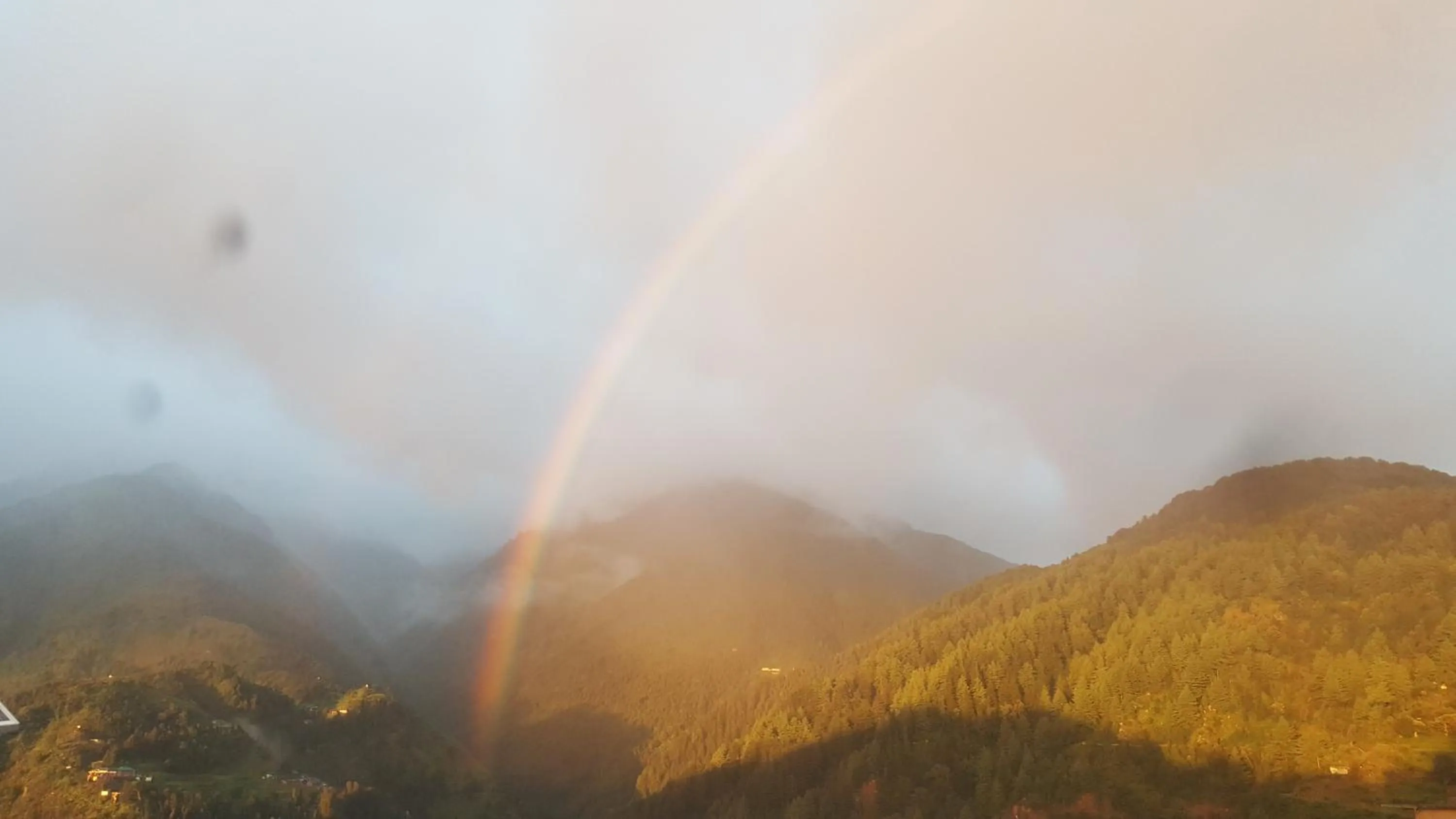 Facade/entrance in Hotel Victoriya Palace,Mcleod Ganj