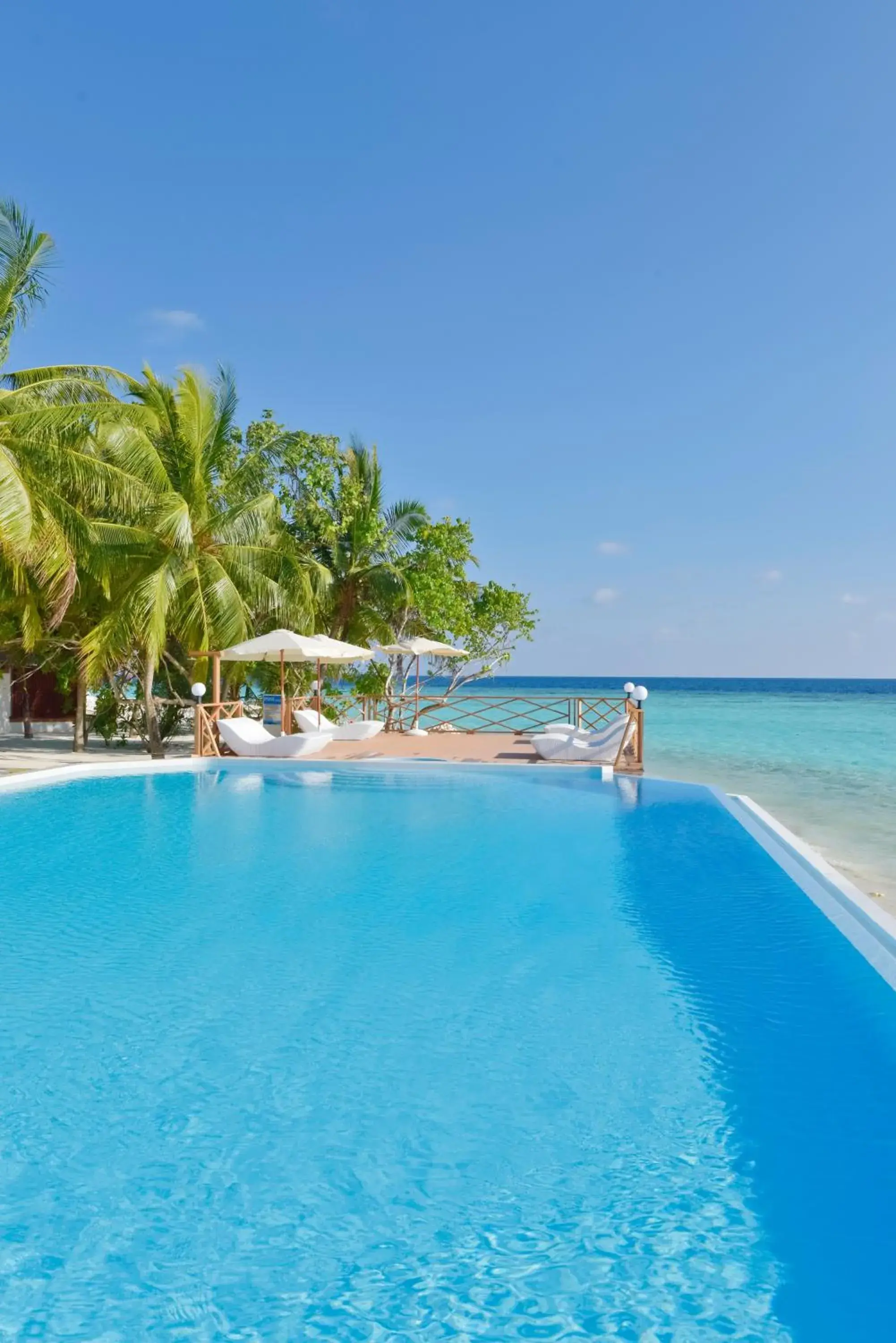 Swimming pool in Thulhagiri Island Resort & Spa Swimming pool in Thulhagiri Island Resort & Spa