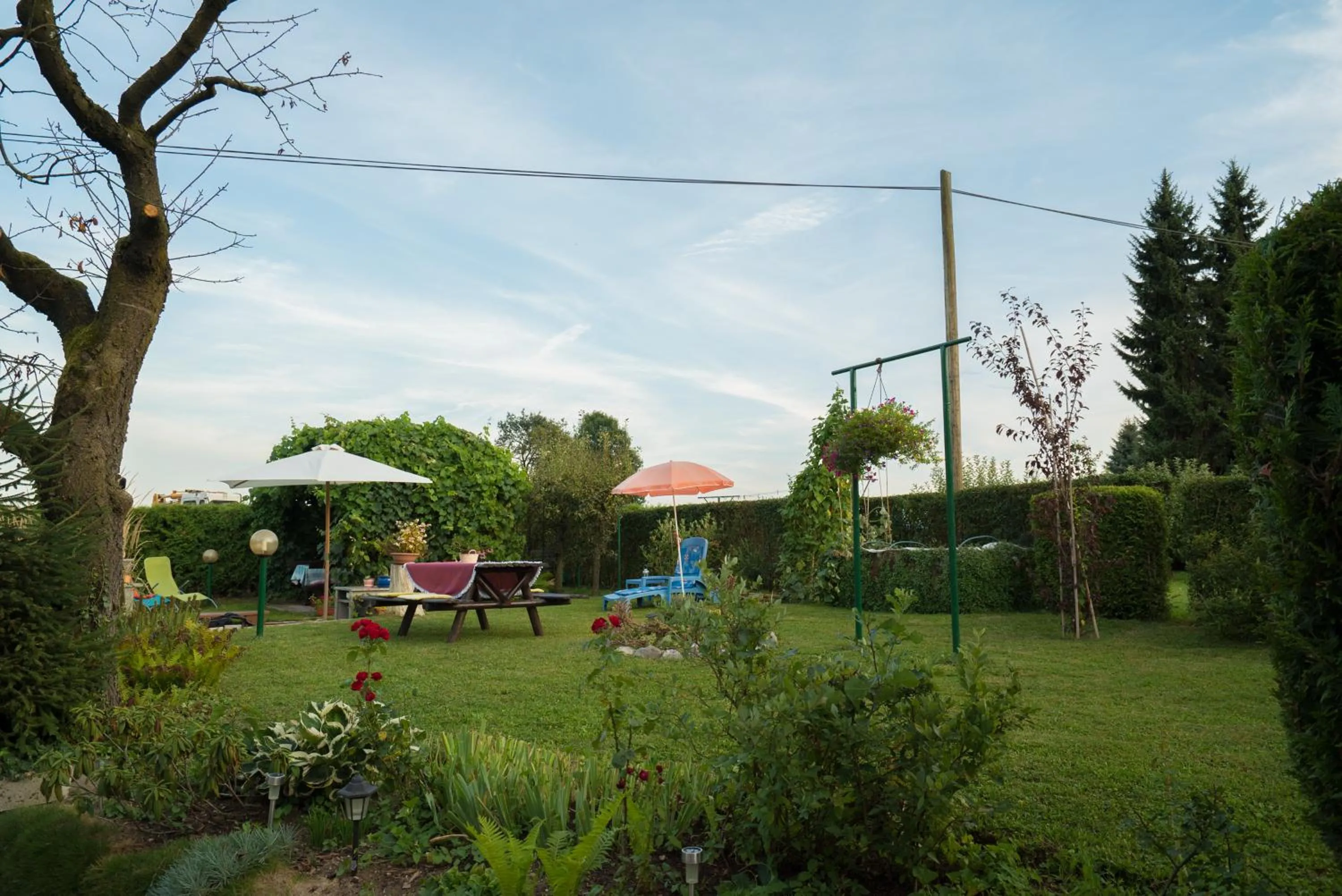 Garden in Apartma Franko