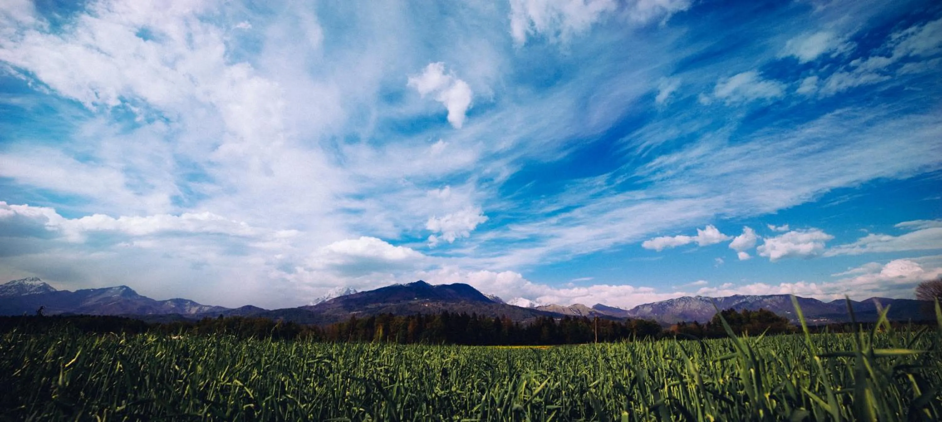 Natural landscape in Apartma Franko