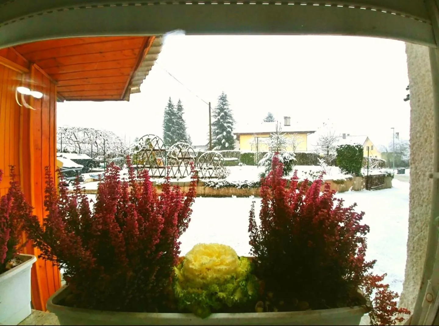 Garden view in Apartma Franko