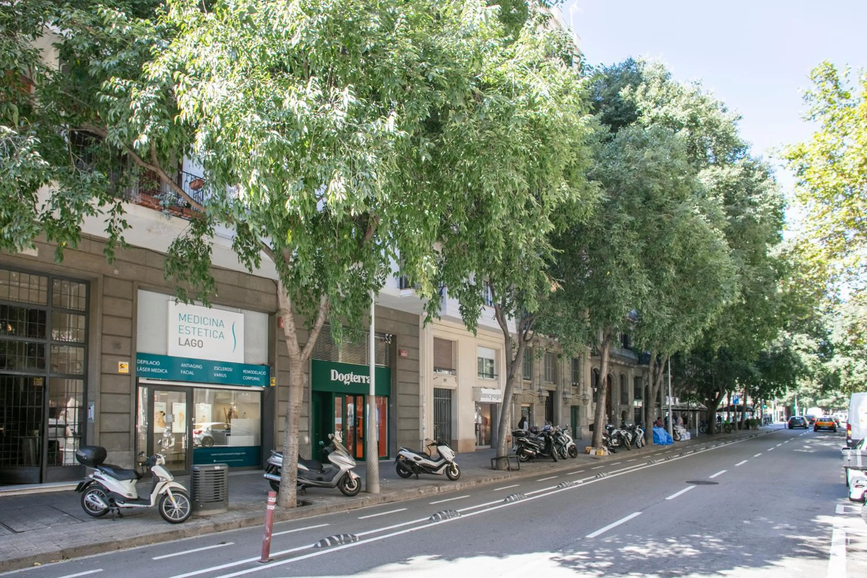 Street view in Alcam Calabria