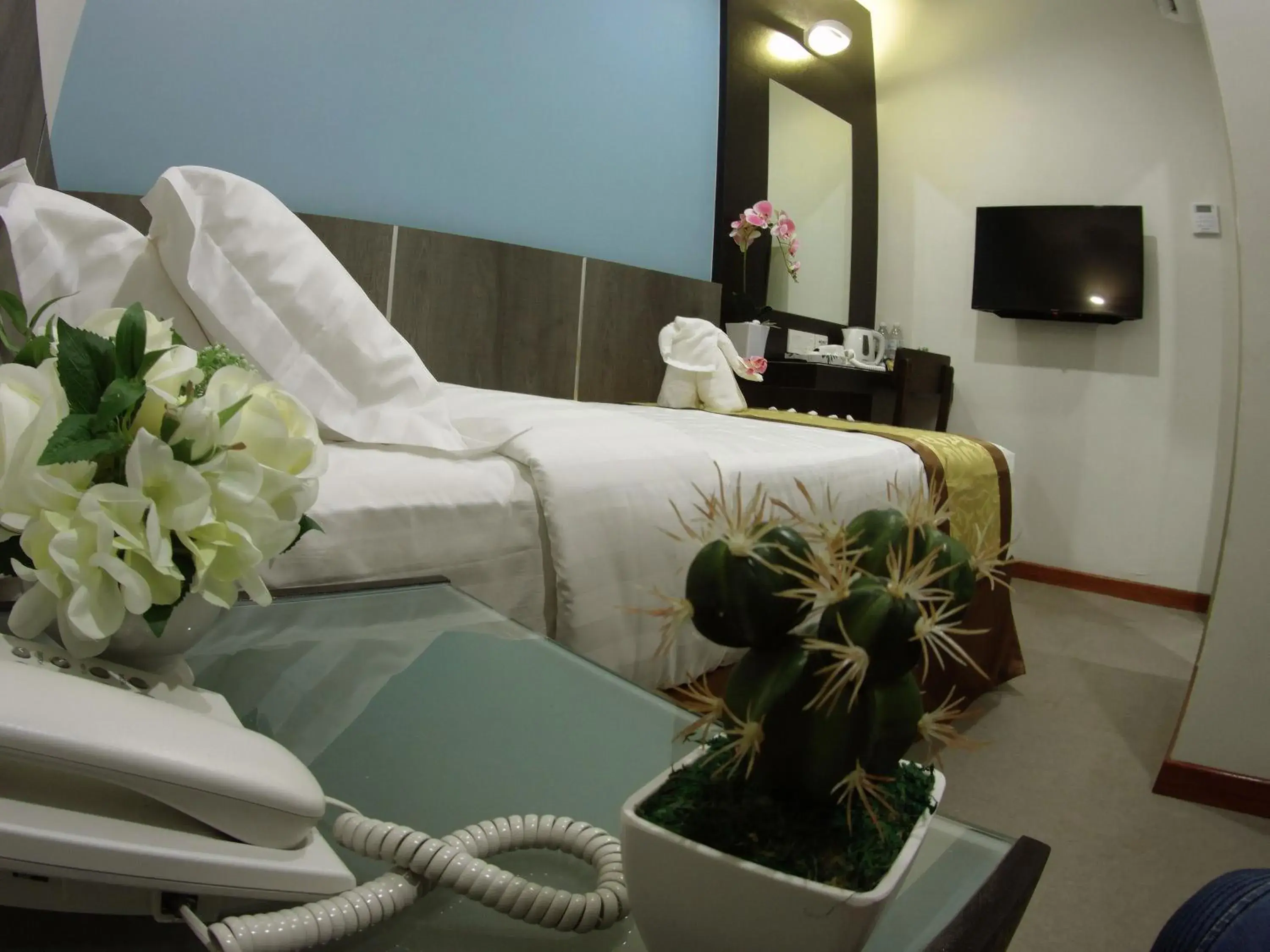 Bed in Meriton Inn Bed in Meriton Inn