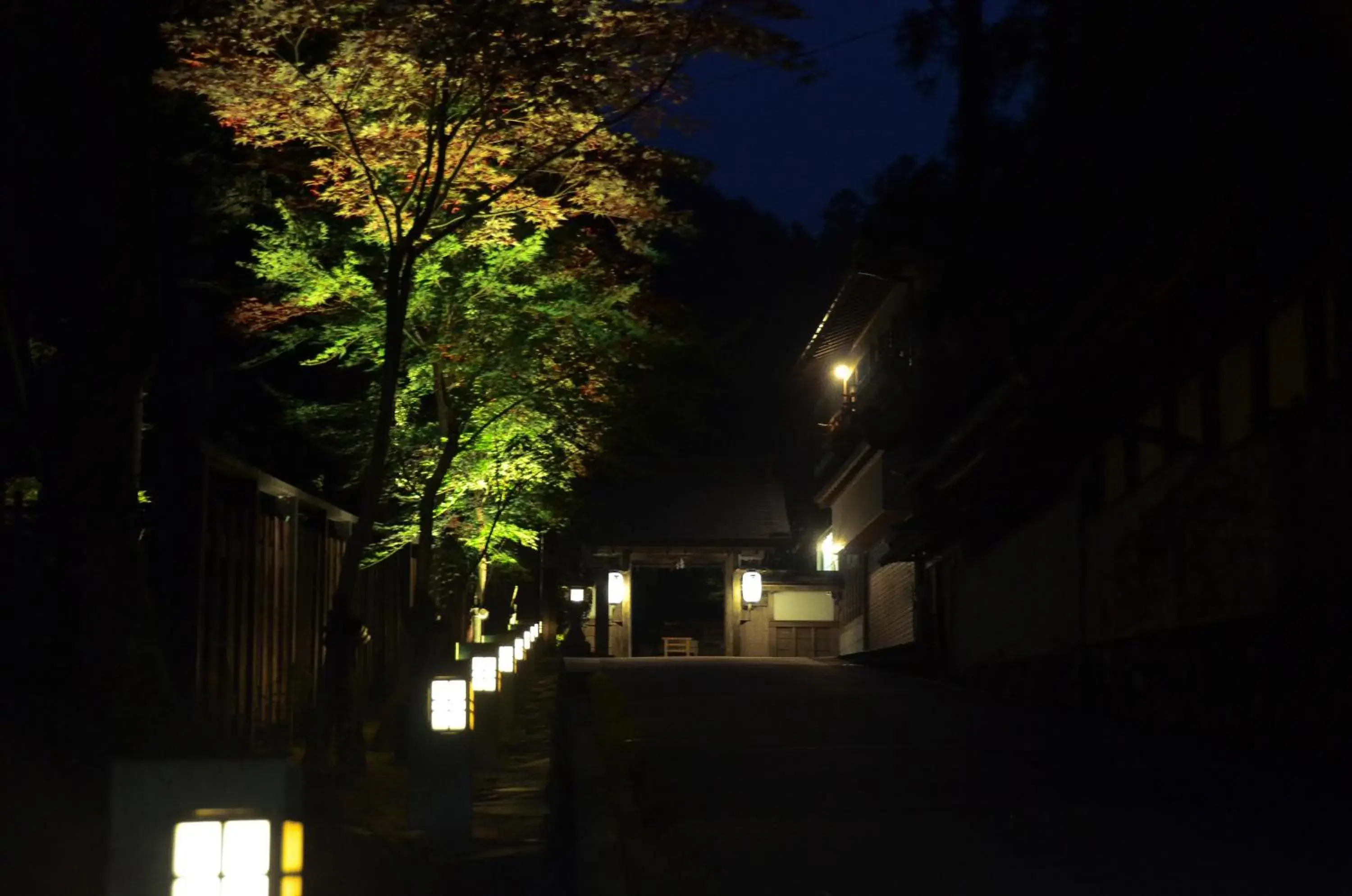 Facade/entrance in 高野山 宿坊 不動院 -Koyasan Shukubo Fudoin- Facade/entrance in 高野山 宿坊 不動院 -Koyasan Shukubo Fudoin-