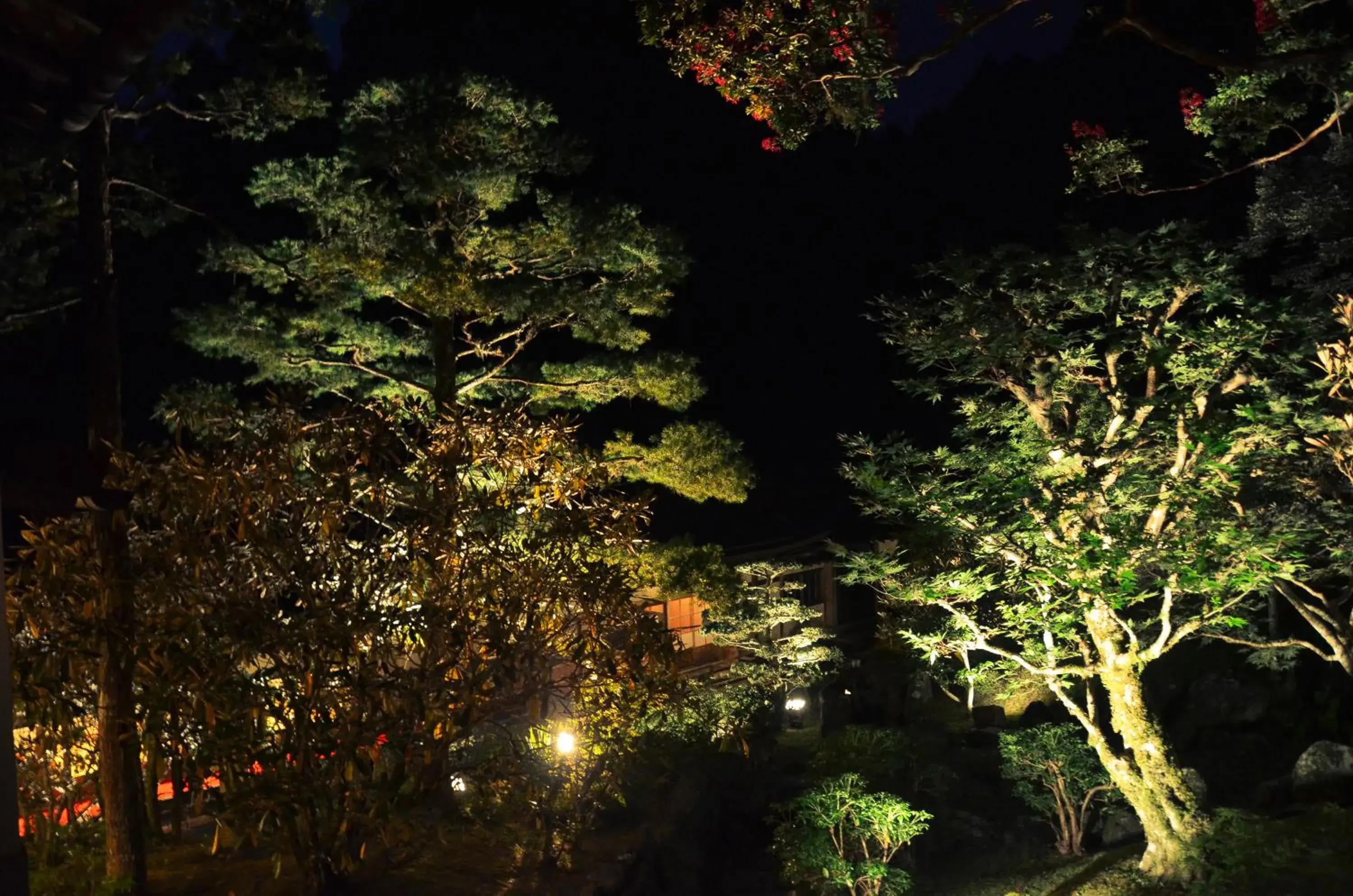 View (from property/room) in 高野山 宿坊 不動院 -Koyasan Shukubo Fudoin- View (from property/room) in 高野山 宿坊 不動院 -Koyasan Shukubo Fudoin-