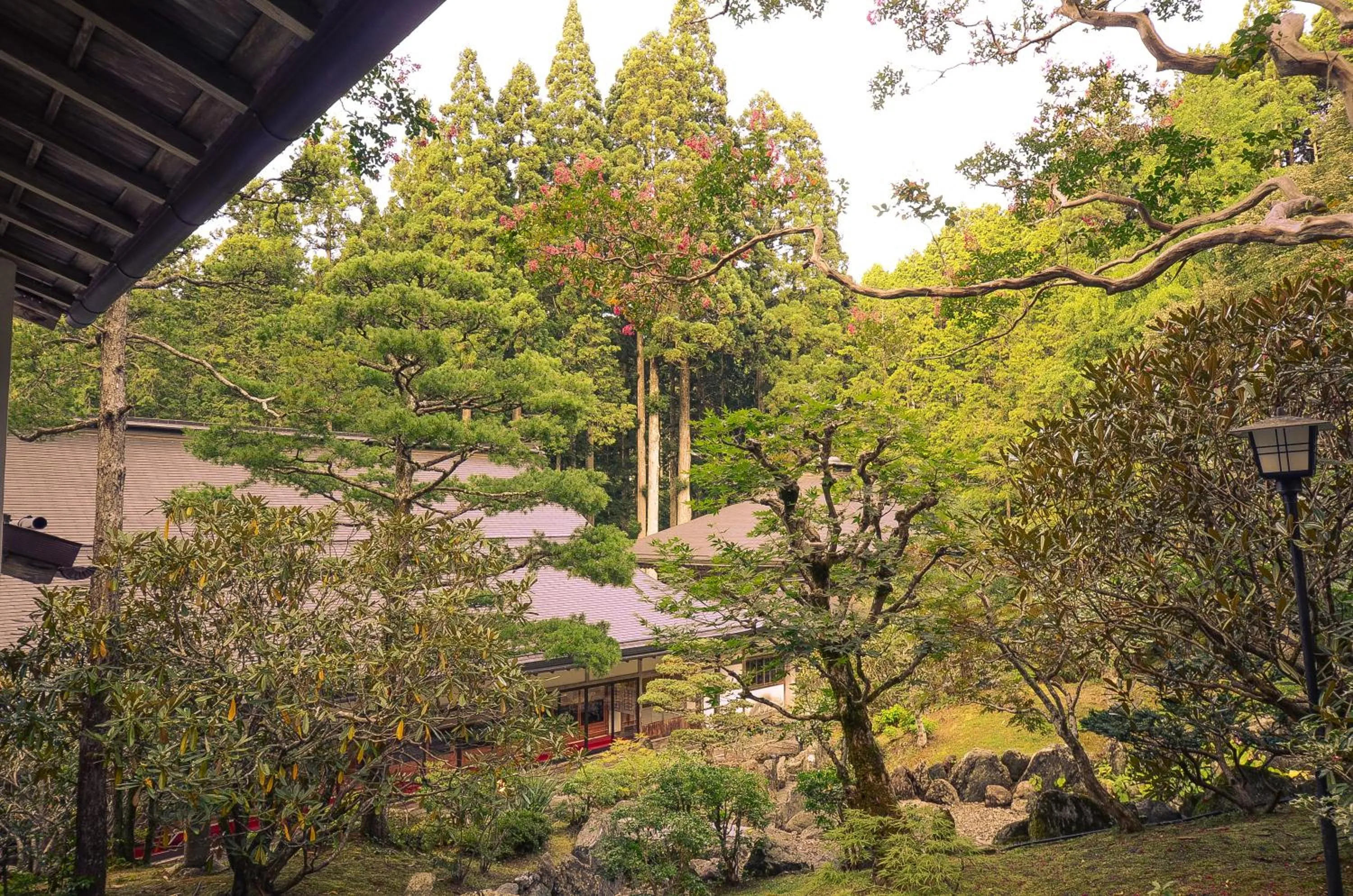 View (from property/room) in 高野山 宿坊 不動院 -Koyasan Shukubo Fudoin-