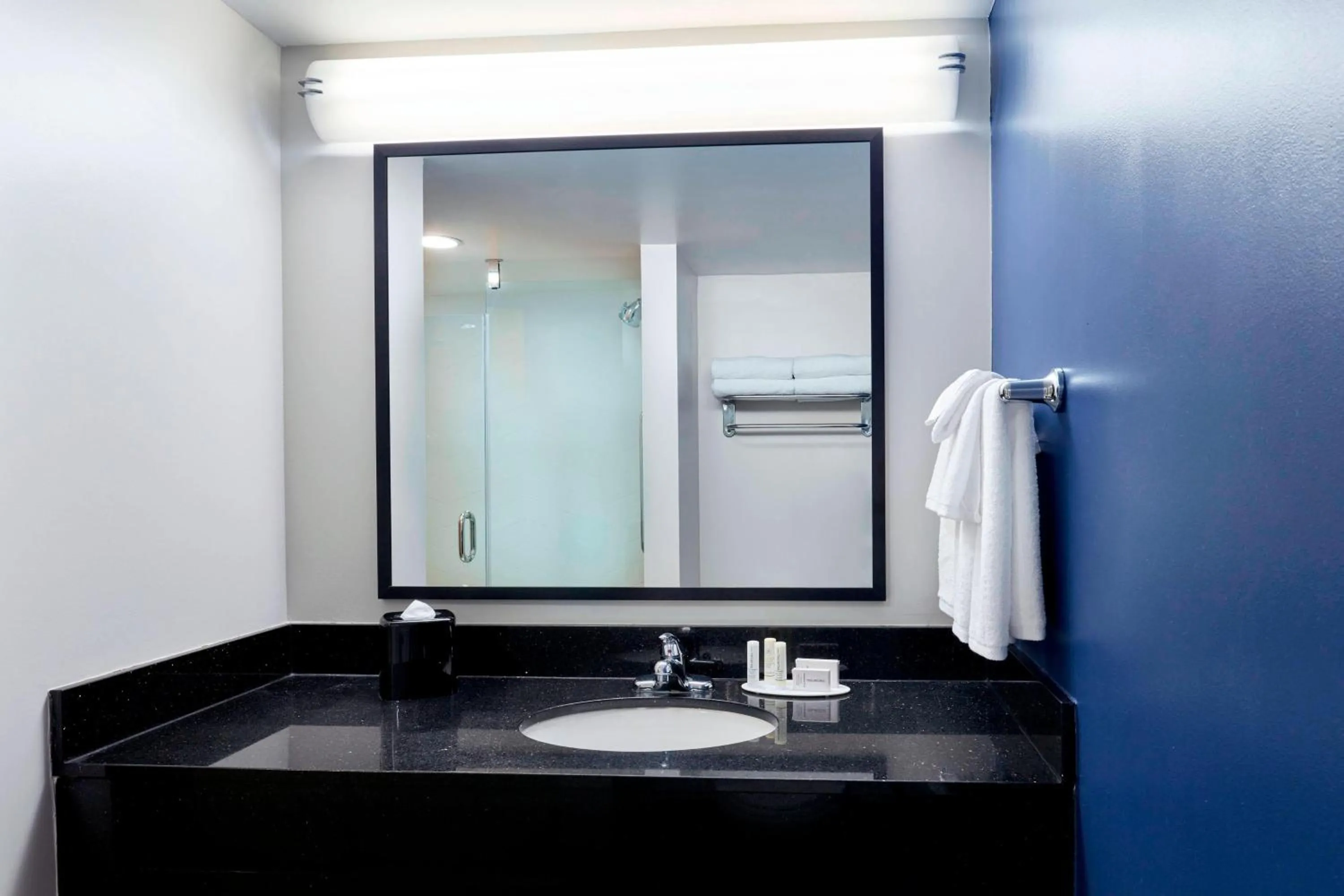 Bathroom in Fairfield Inn Suites Indianapolis Downtown