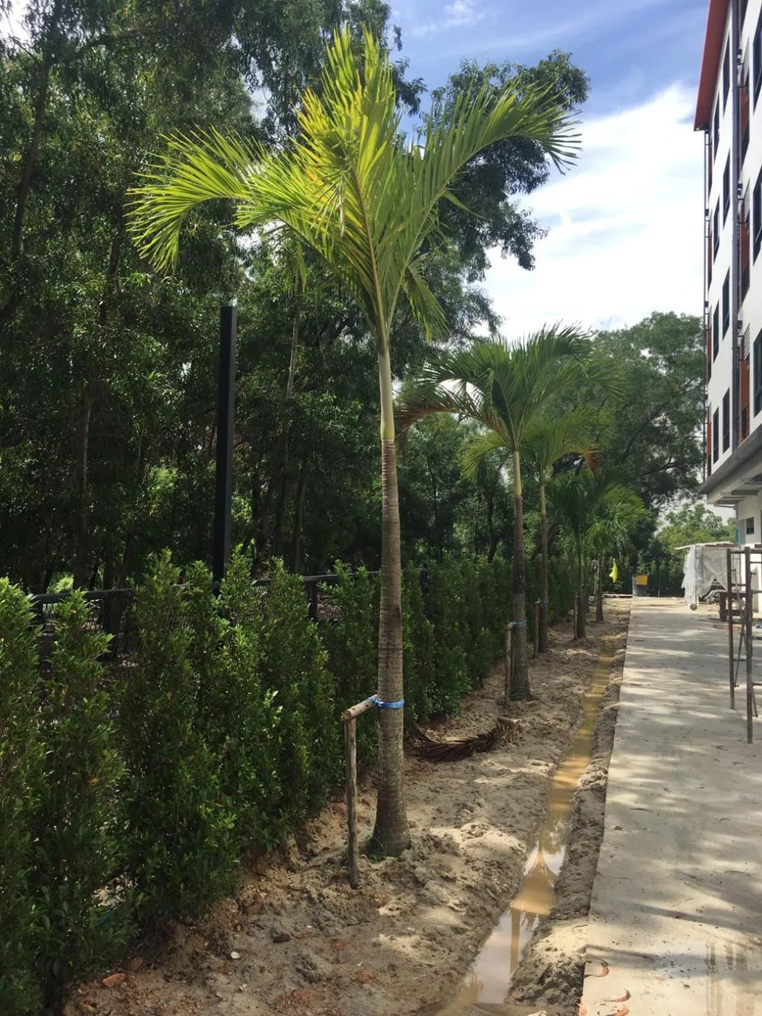 Natural landscape in Bangkok Boutique Resort Rangsit