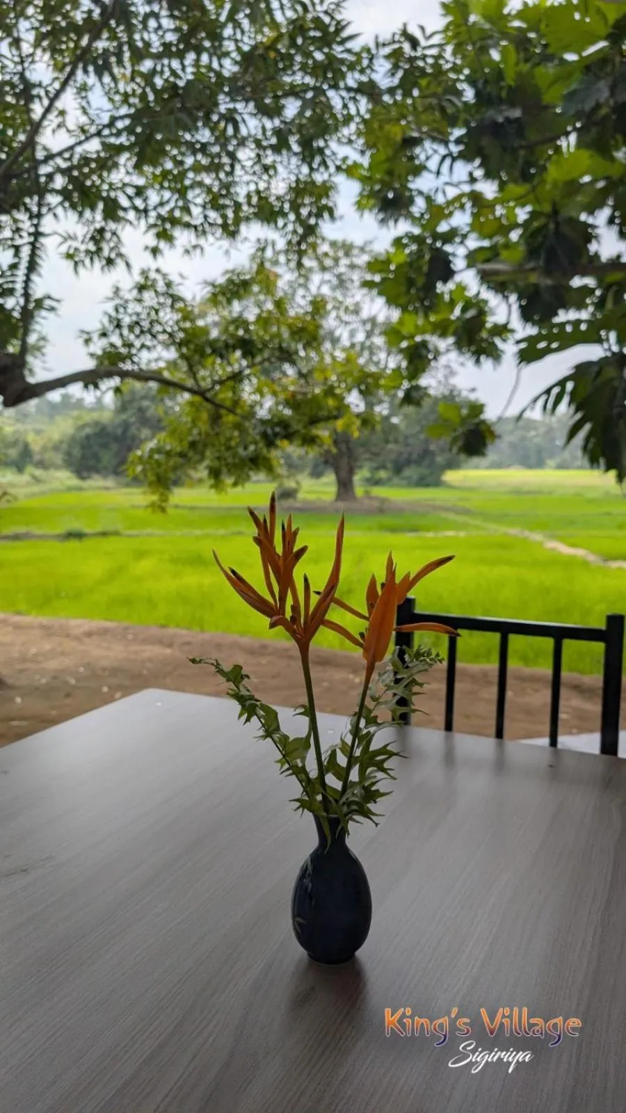 Kings Village Sigiriya